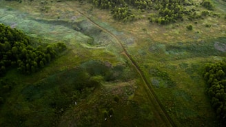Aerial view of a beautiful piece of land showcasing lush greenery.