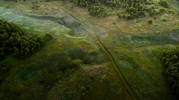 Aerial view of a lush landscape showcasing topographic features.