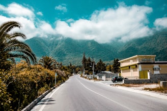 a road with trees and buildings on the side