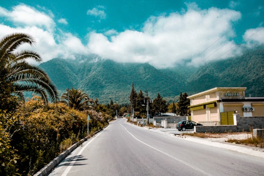a road with trees and buildings on the side