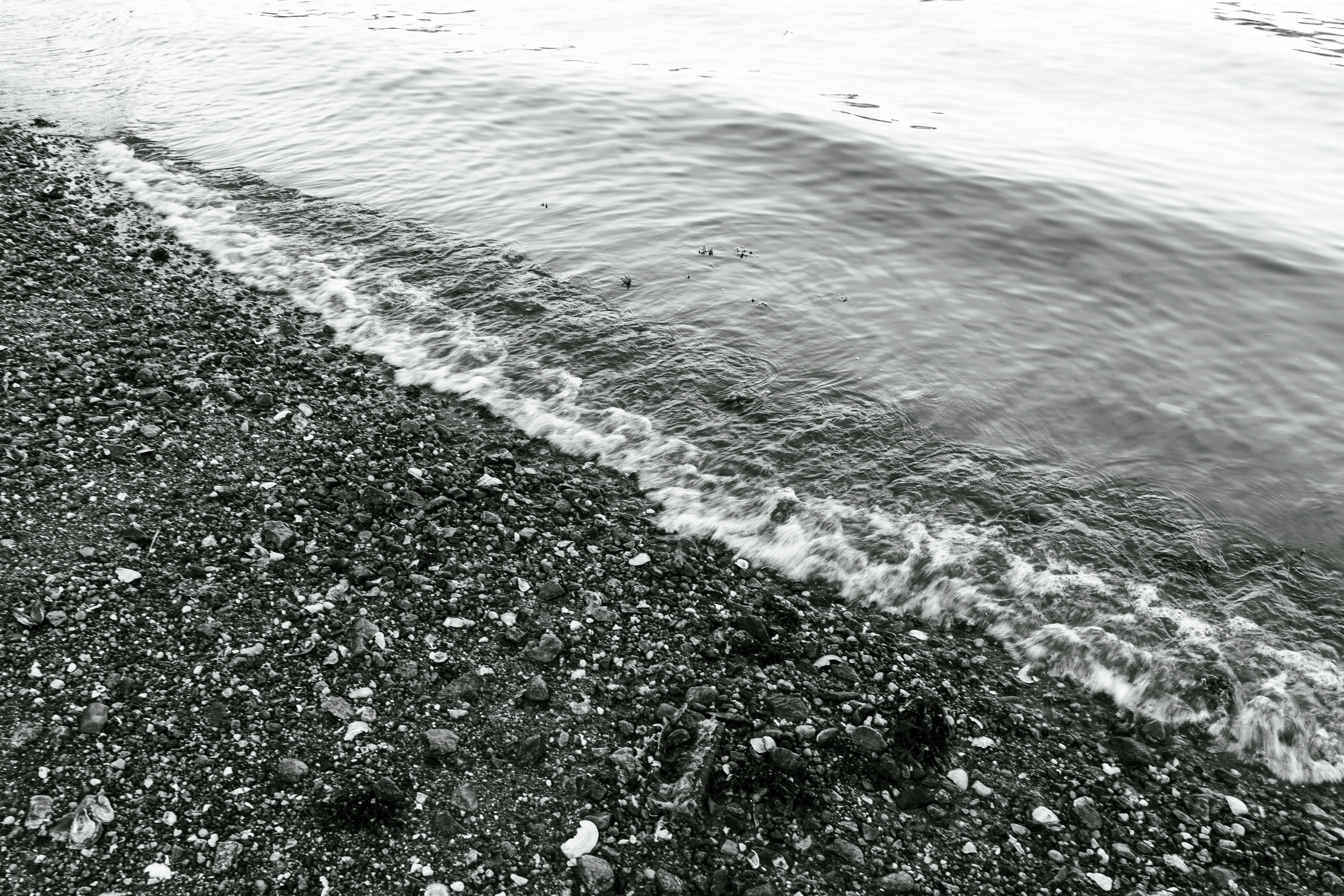 Tides Beach
