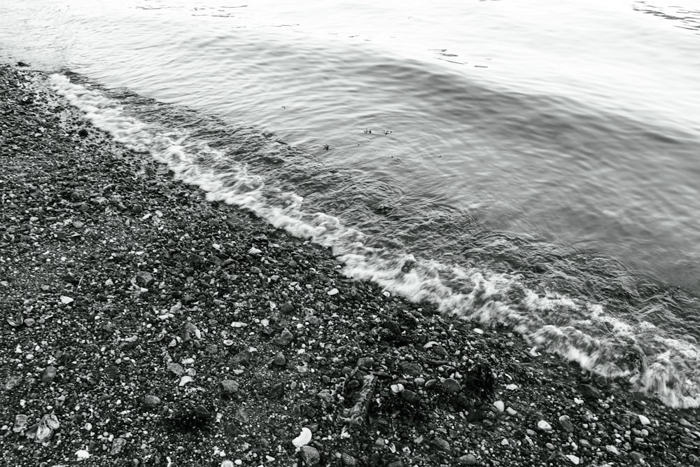 a black and white photo of a beach with waves crashing on it