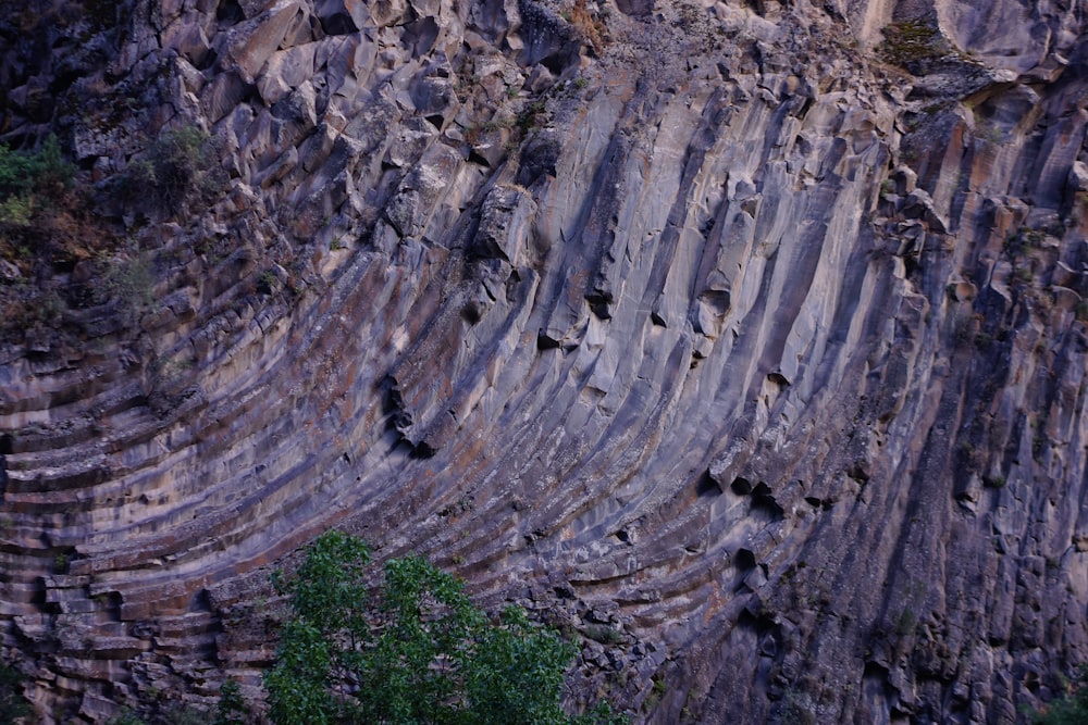 a rocky cliff with trees