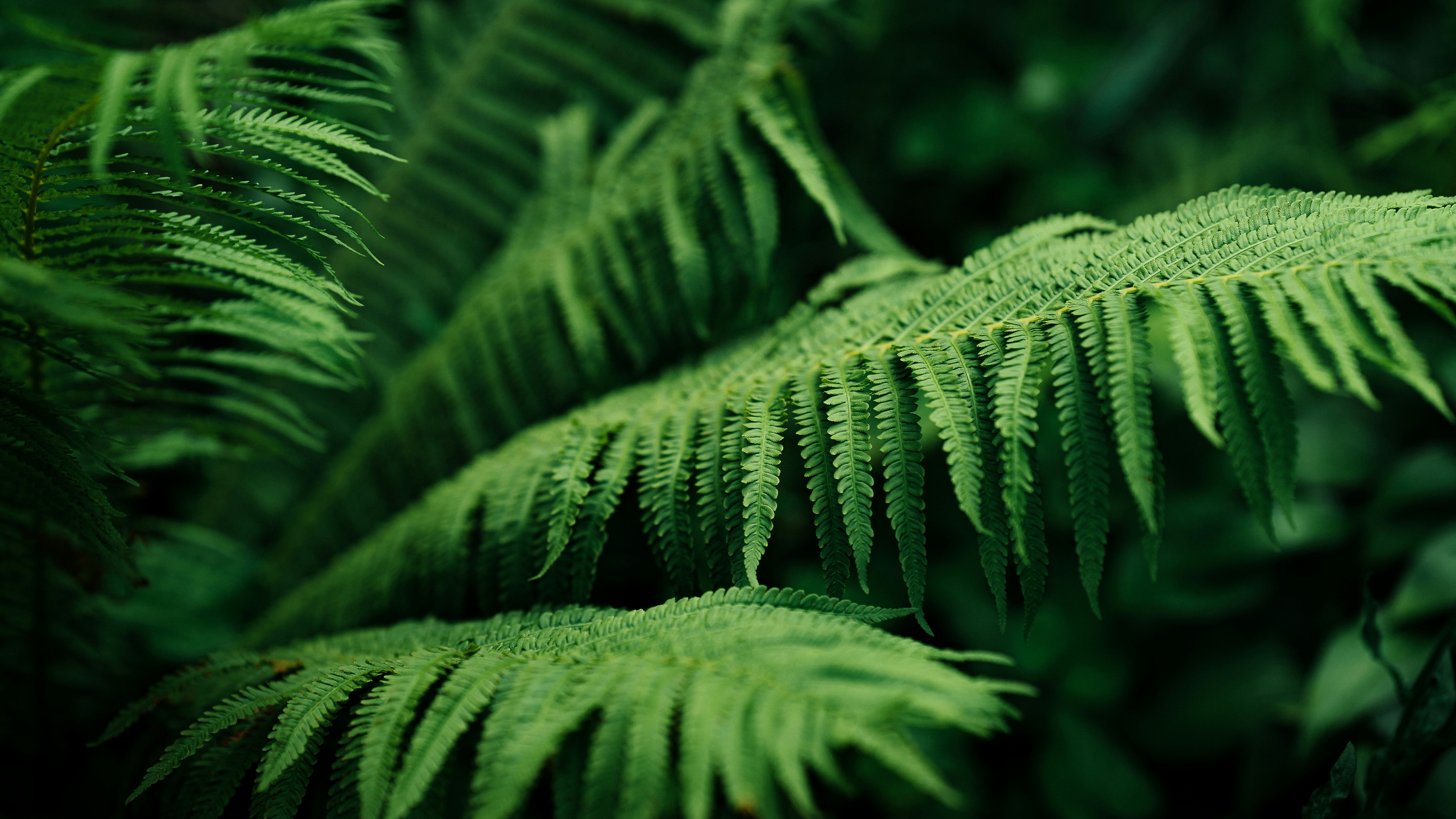 Photo by maksym_tymchyk