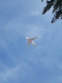 A large passenger airplane with an 'Emirates' logo is flying through a clear blue sky. The view is from below, capturing the aircraft against the backdrop of a bright sky. Some tree branches are visible in the upper right corner.
