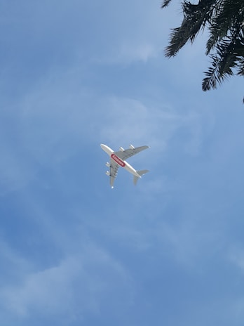 A large passenger airplane with an 'Emirates' logo is flying through a clear blue sky. The view is from below, capturing the aircraft against the backdrop of a bright sky. Some tree branches are visible in the upper right corner.