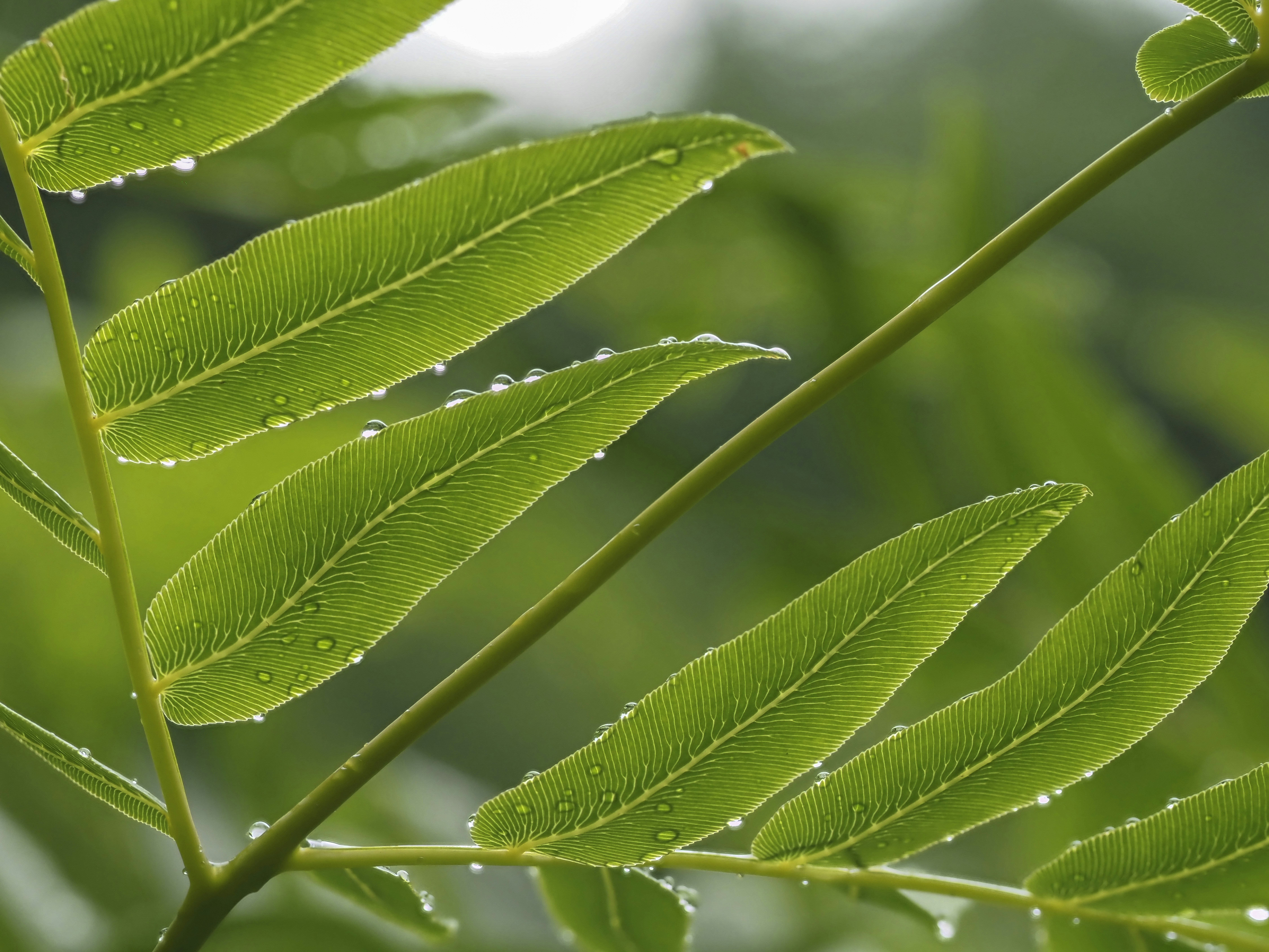 Photo by morningdew_work