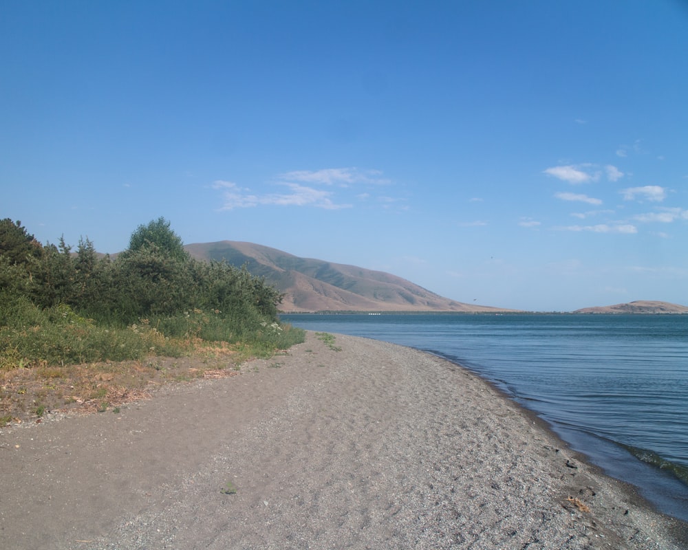 a road next to a body of water