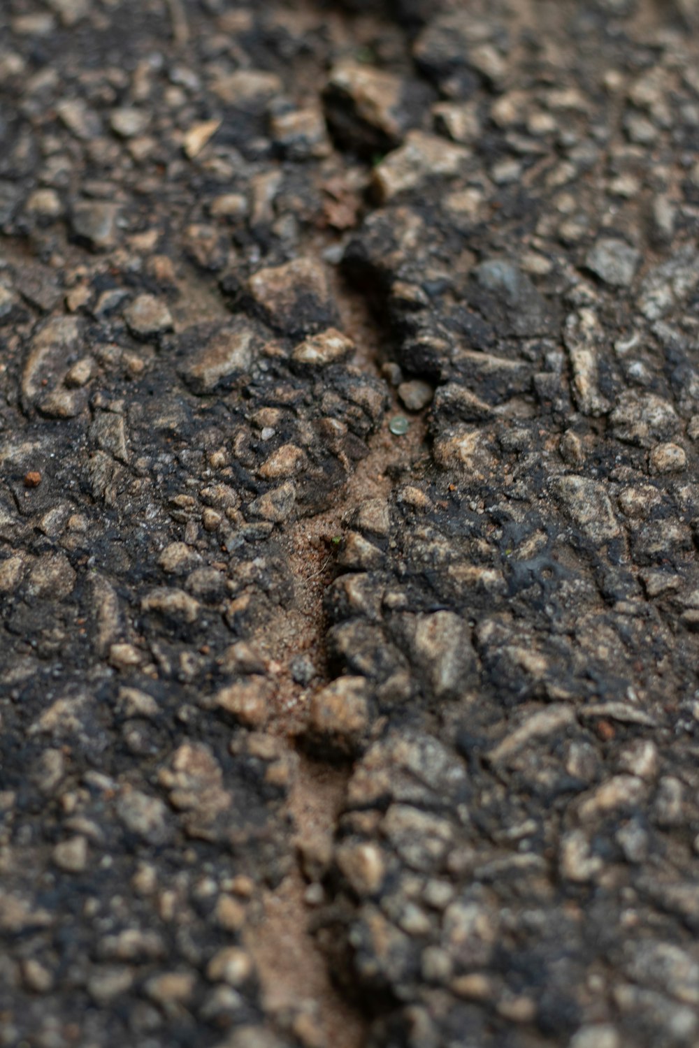 a close up of a rock