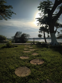 A serene meditation circle surrounded by lush greenery at sunrise