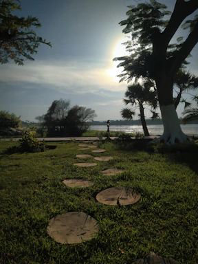 A serene sunrise over a quiet meditation garden, symbolizing peace and connection.