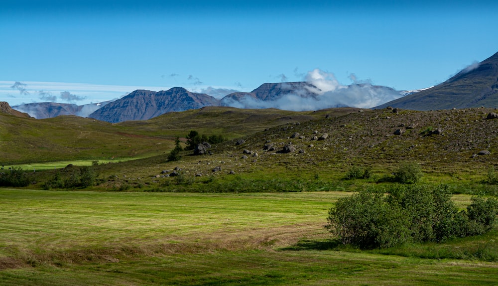 a grassy area with mountains in the background