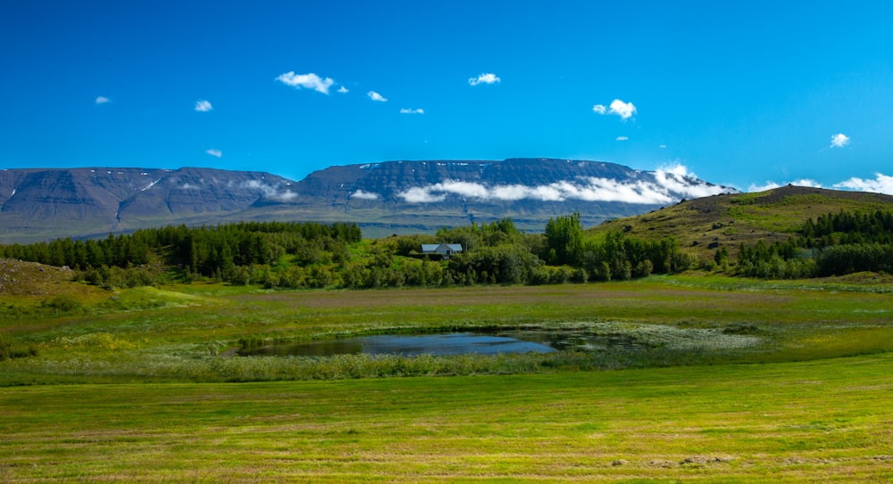 a grassy field with a pond and mountains in the background