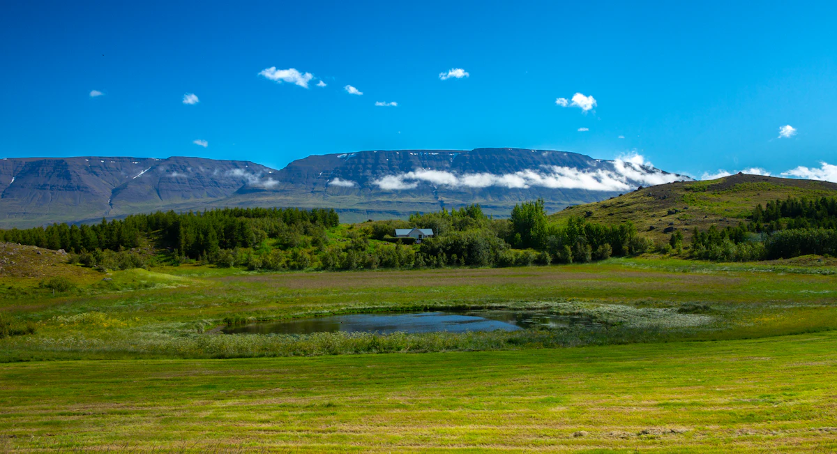 Grösugt land og tjörn með fjöll í baksýn í Skagafirði