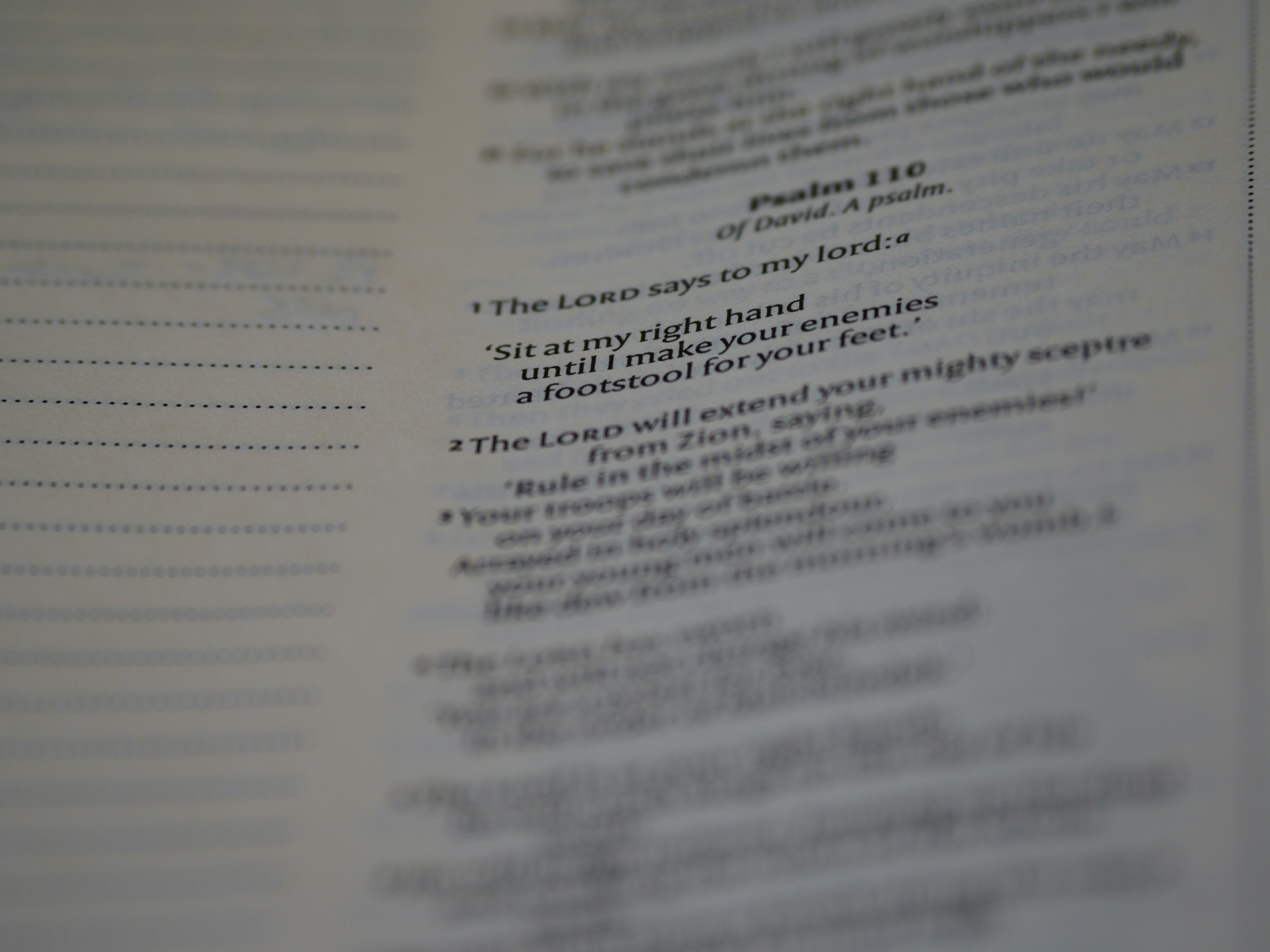 Photo by brett_jordan