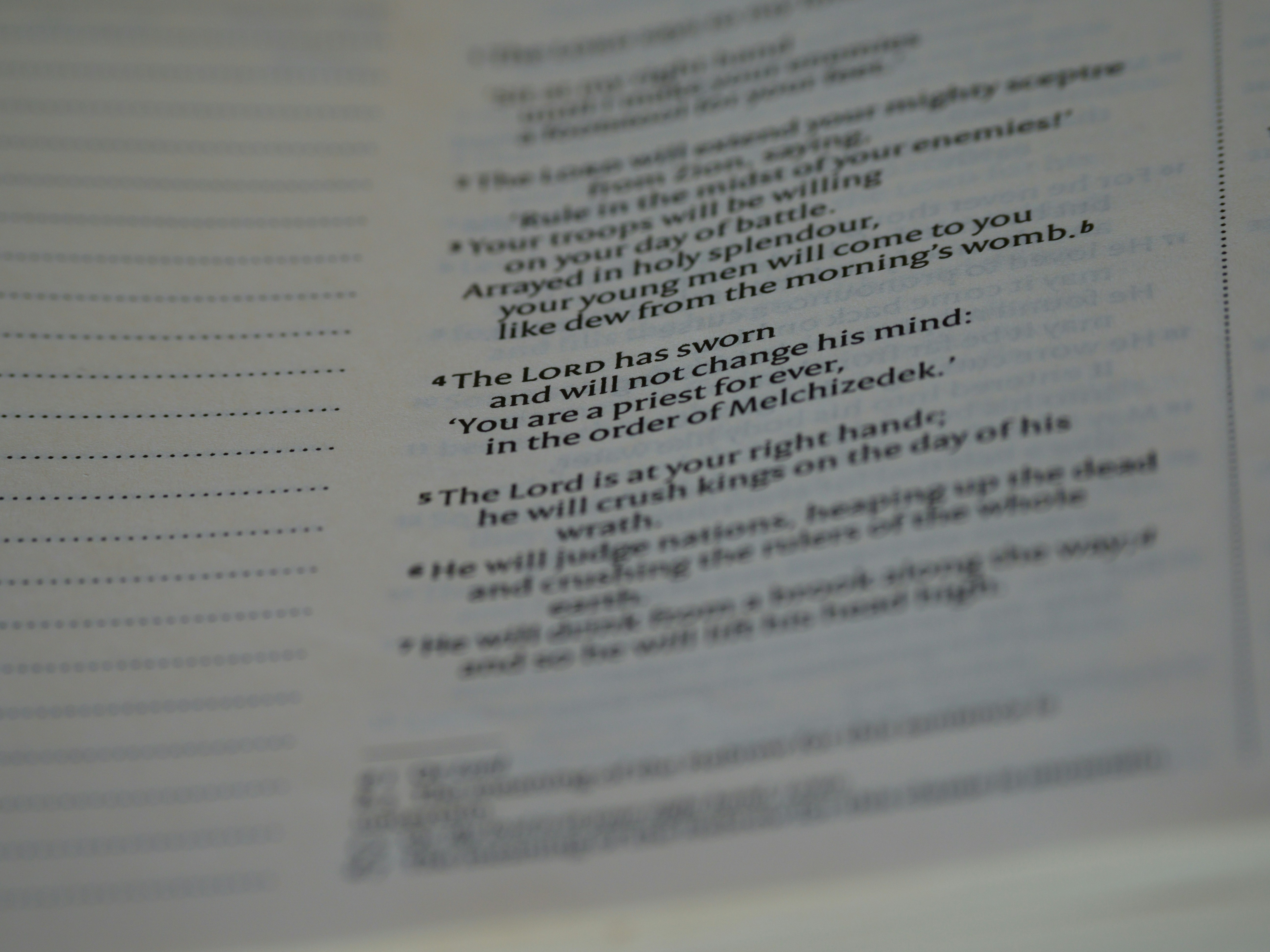 Photo by brett_jordan