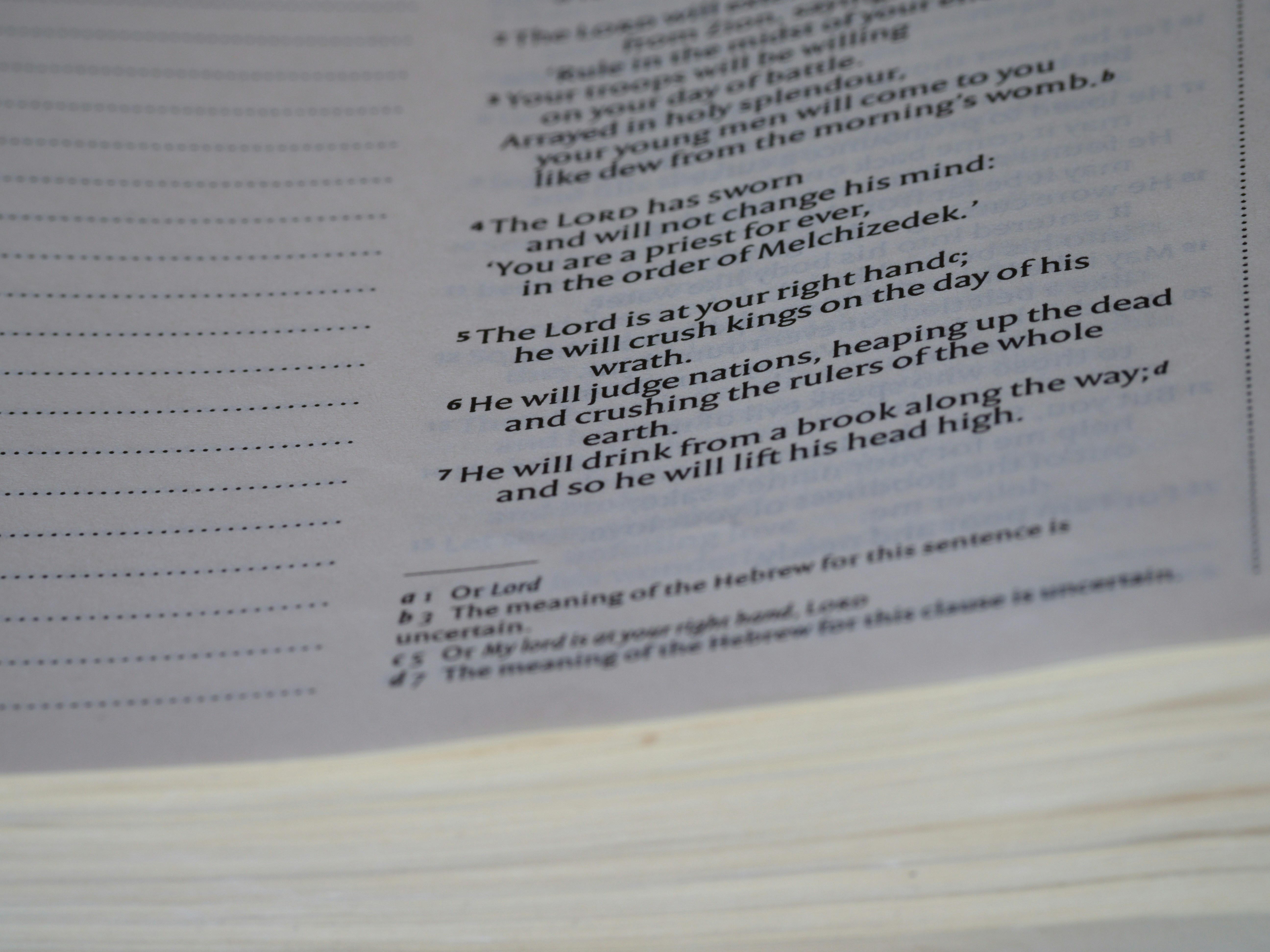 close up, bokeh, macro, blur, blurred background, close focus, bible, old testament, hebrew bible, christian, judaism, history, text, reading, bible study, devotions, text, NIV, New International Version, type, typography, canon, christianity, holy scripture, holy bible, scripture, old testament, hebrew bible, תְּהִלִּים, psalms, psalter, psalm, ketuvim, writings, tanakh, king david, <br />