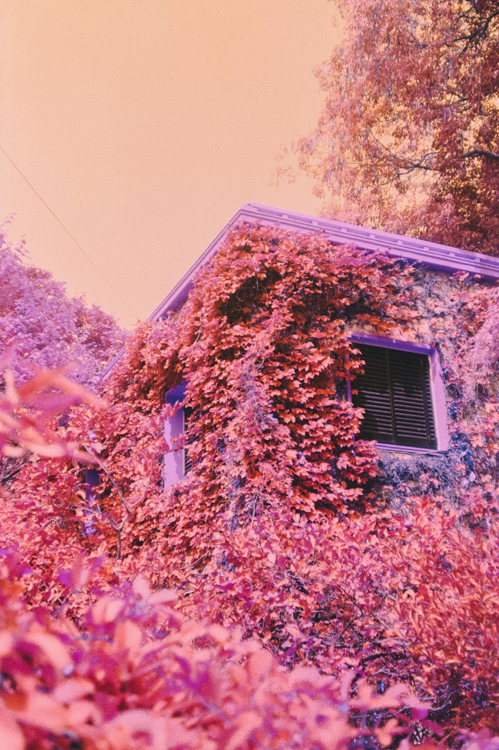 a building with a roof and trees around it