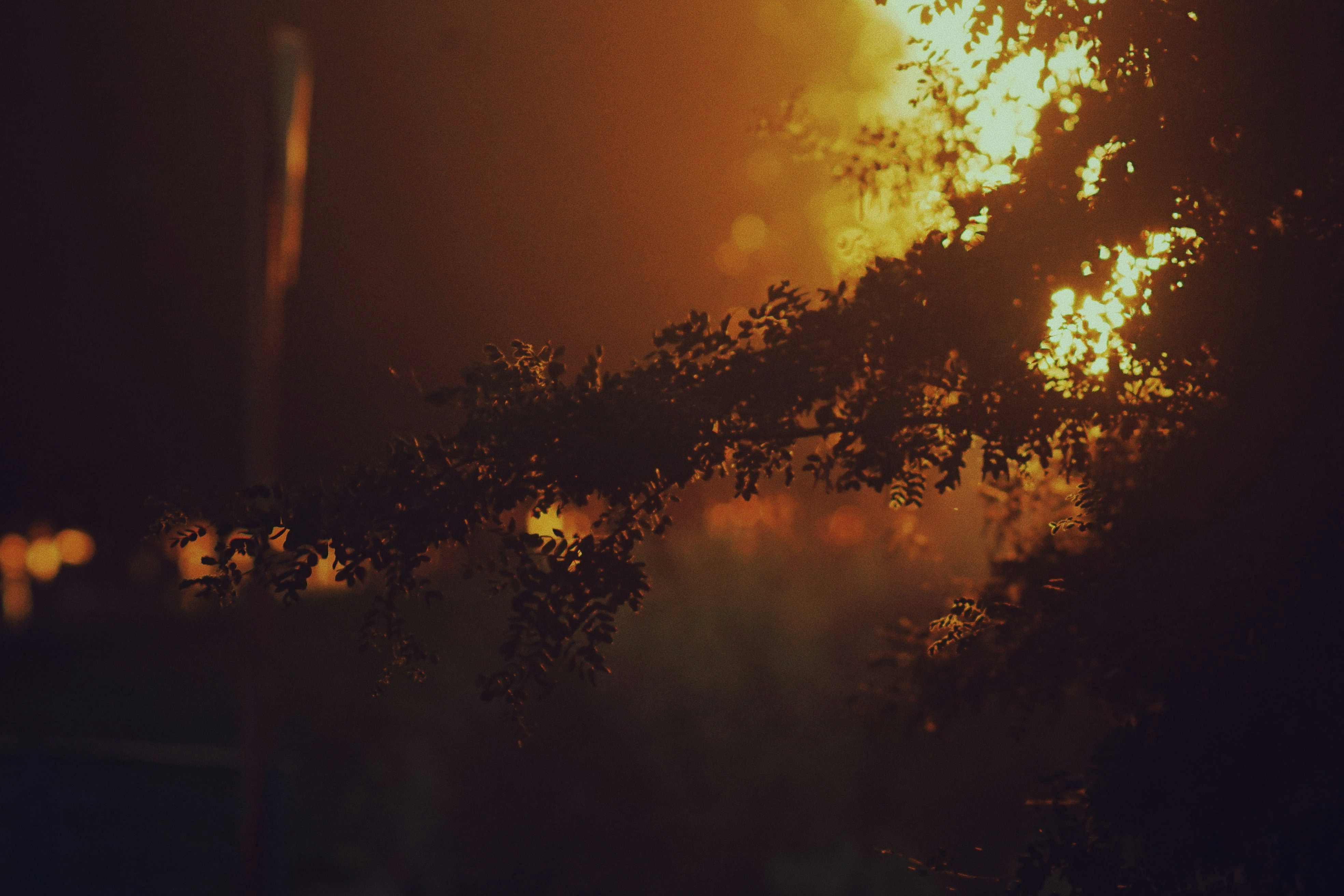 Photo by shklyaevmax