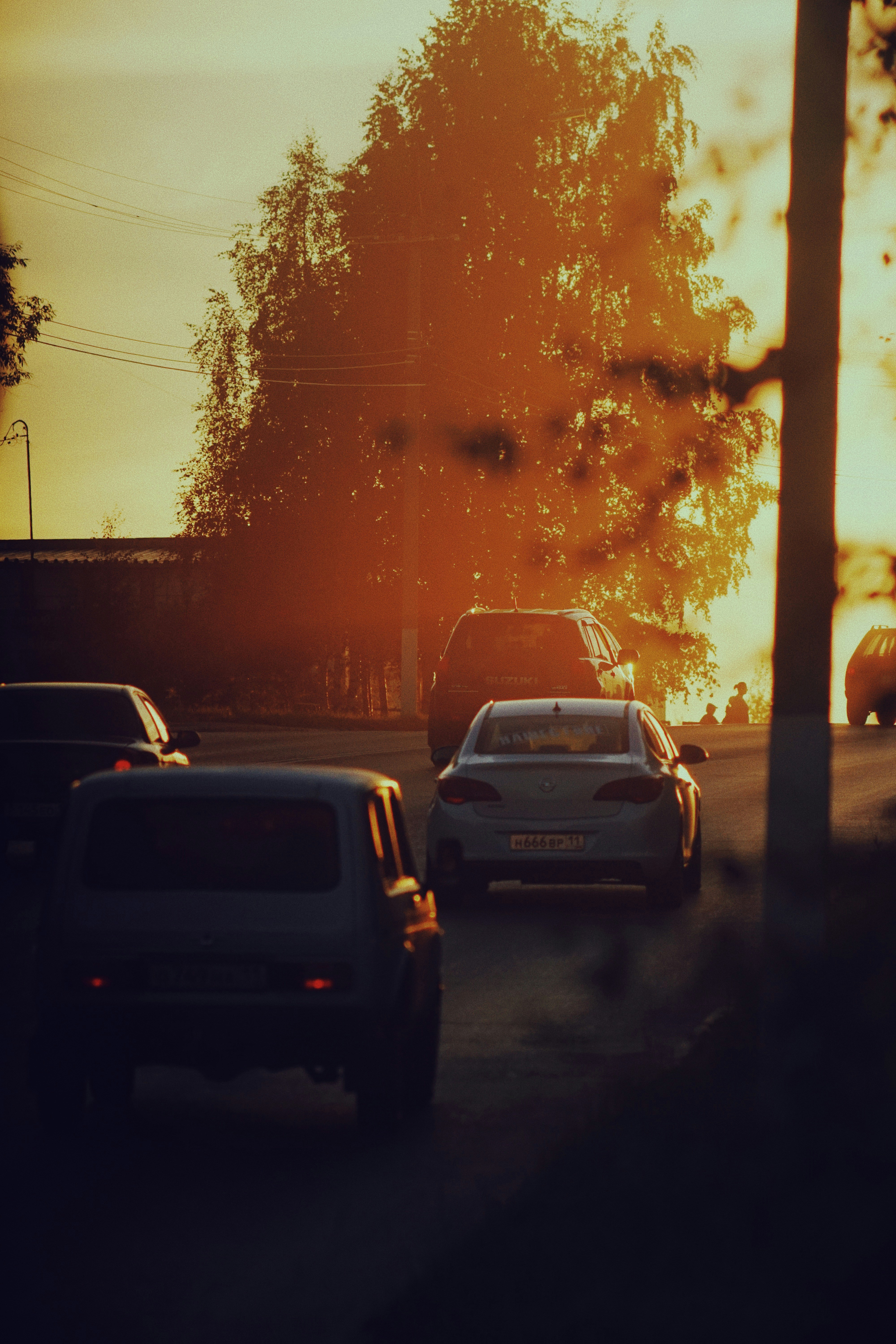 Photo by shklyaevmax