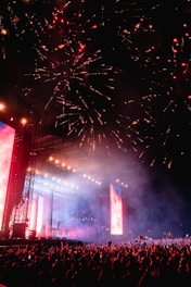 a crowd of people at a concert