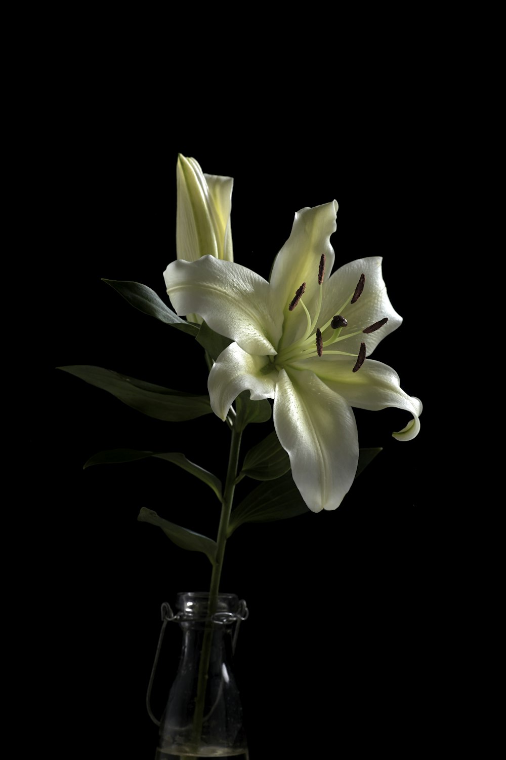 Una flor blanca en un jarrón de cristal