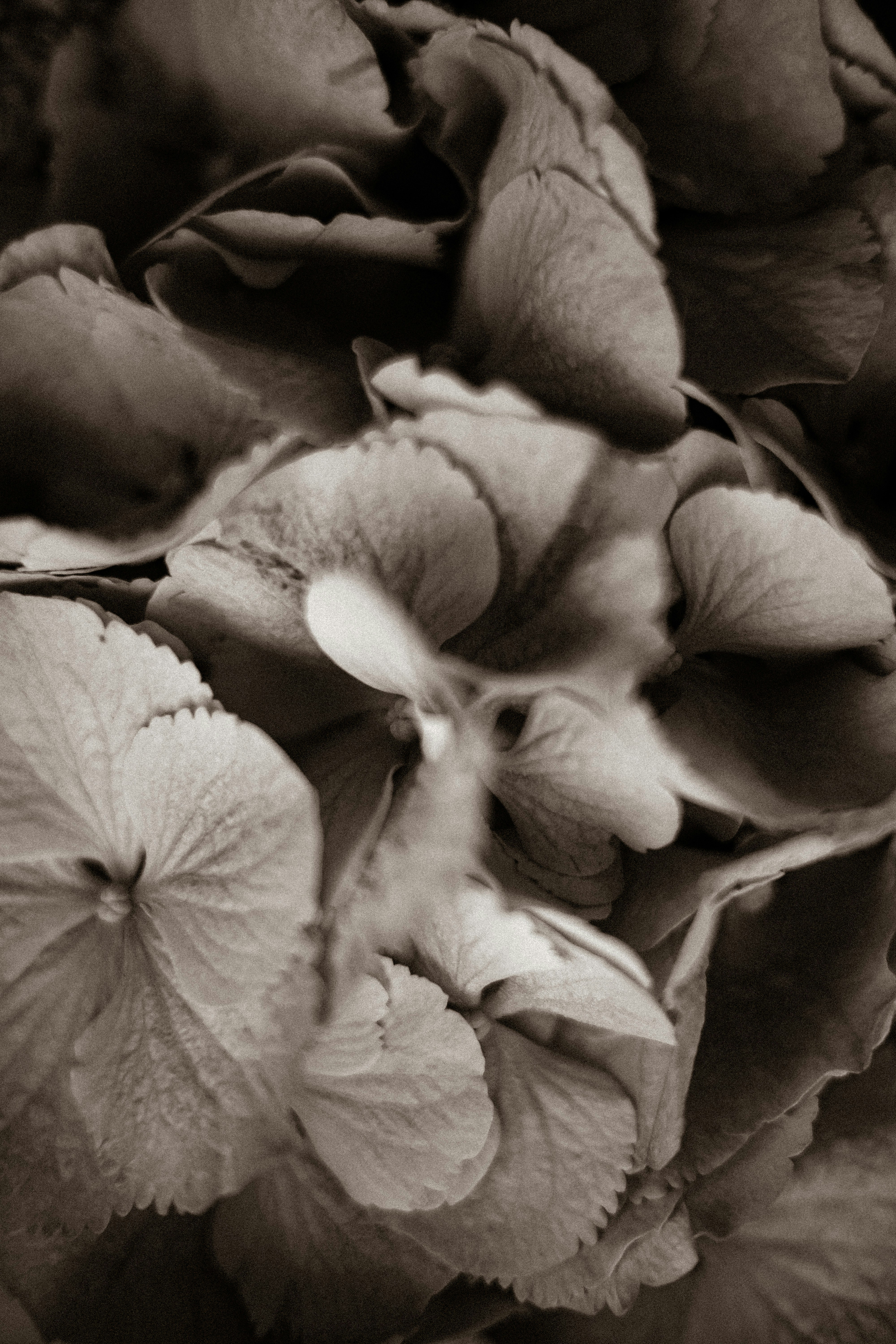 Photo by lanathegraves