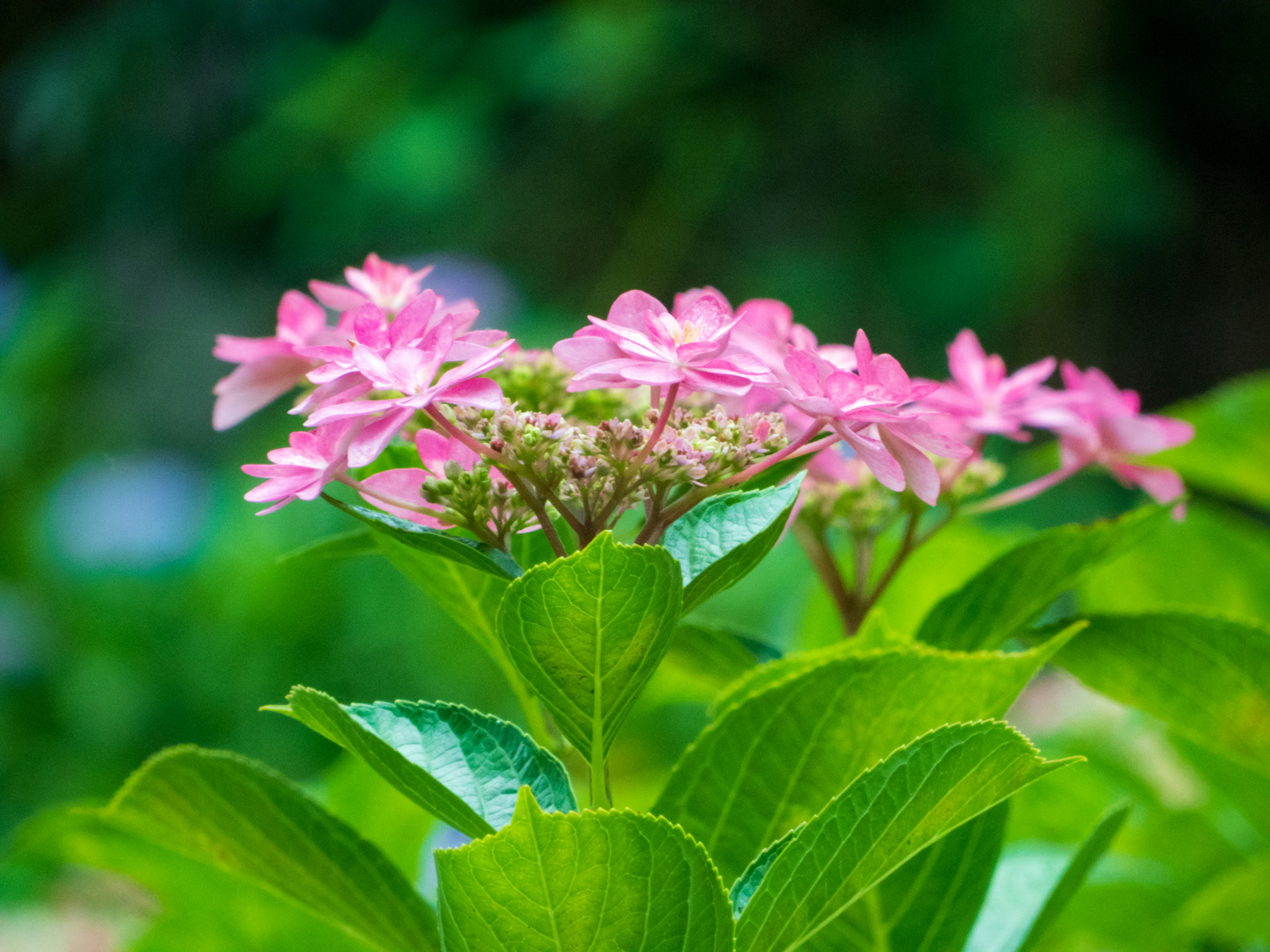 Photo by heppoko_yama