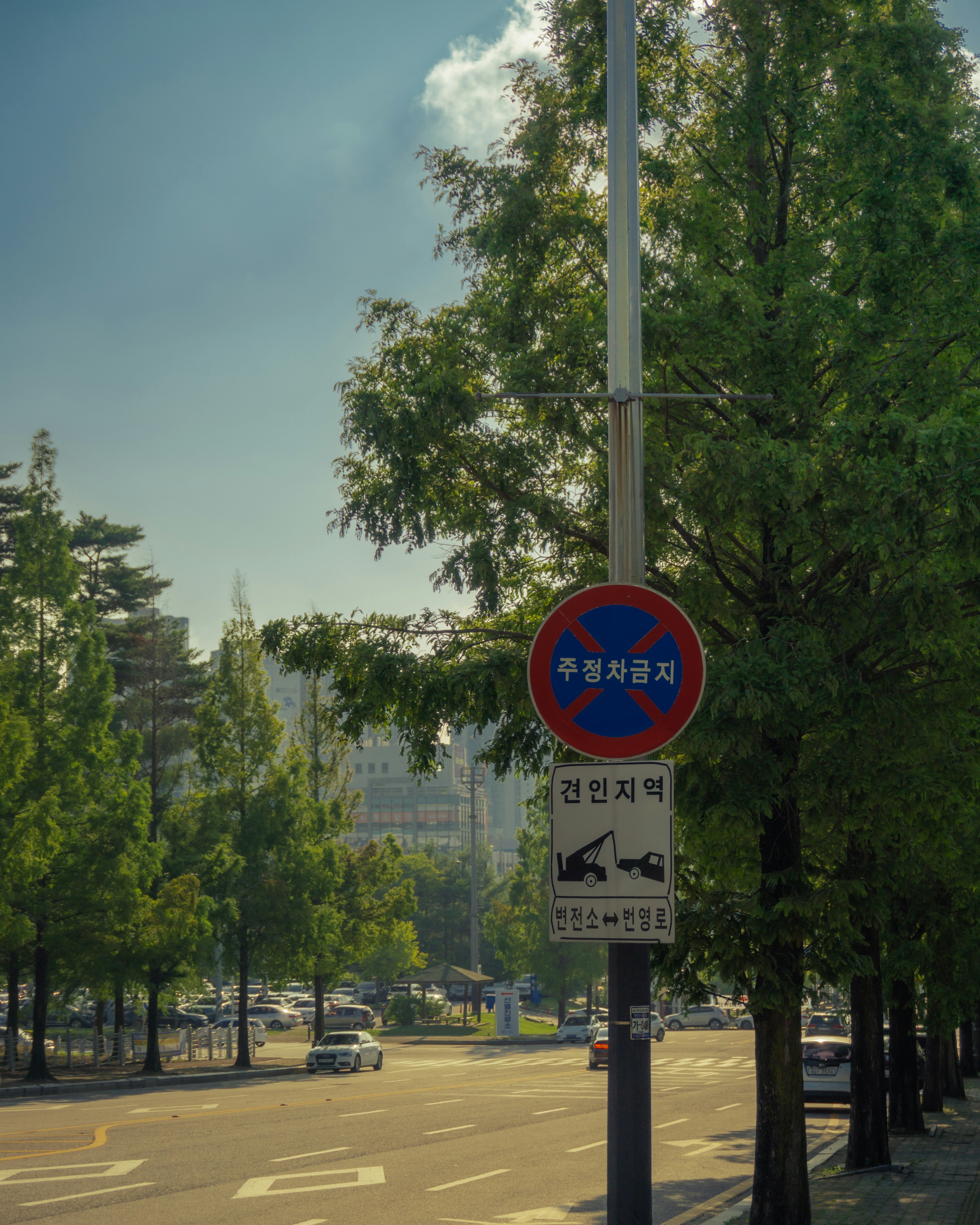 photo-1658230656644-22cf1764d7be?ixid=M3wxMjA3fDB8MXxzZWFyY2h8NHx8JUVDJUIyJTlDJUVDJTk1JTg4JTIwJUVDJUIyJTlDJUVEJTgzJTgwJUVDJTlEJUI0JTIwJUVCJUE3JTg4JUVDJTgyJUFDJUVDJUE3JTgwfGVufDB8fHx8MTc0MTc1NTEzOXww\u0026ixlib=rb-4.0.3
