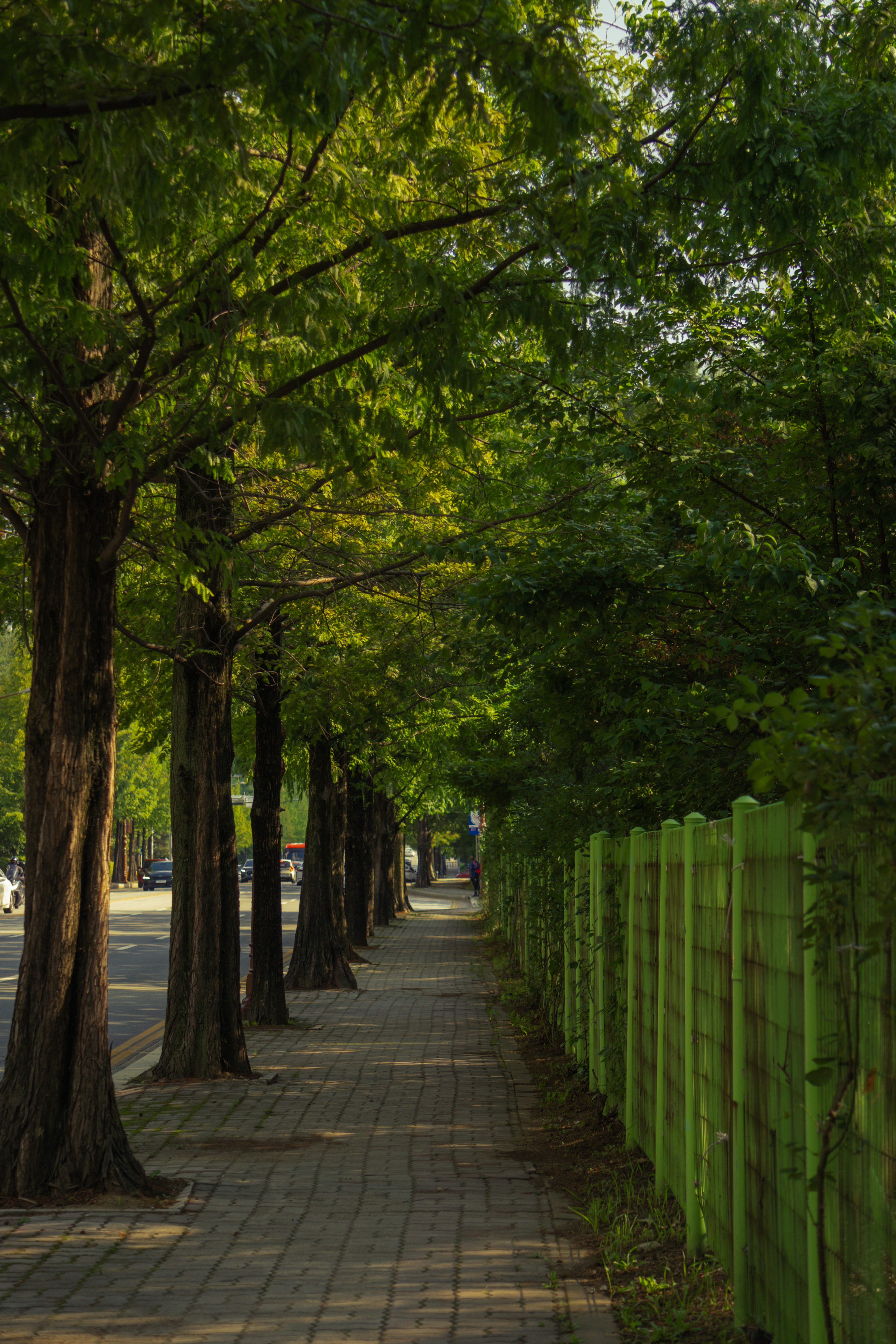 photo-1658230656862-08bfad3f227a?ixid=M3wxMjA3fDB8MXxzZWFyY2h8MTB8fCVFQyVCMiU5QyVFQyU5NSU4OCUyMCVFRCU4NSU4QyVFQiU5RCVCQyVFRCU5NCVCQyUyMCVFQiVBNyU4OCVFQyU4MiVBQyVFQyVBNyU4MHxlbnwwfHx8fDE3NDE1MDAzNjl8MA\u0026ixlib=rb-4.0.3