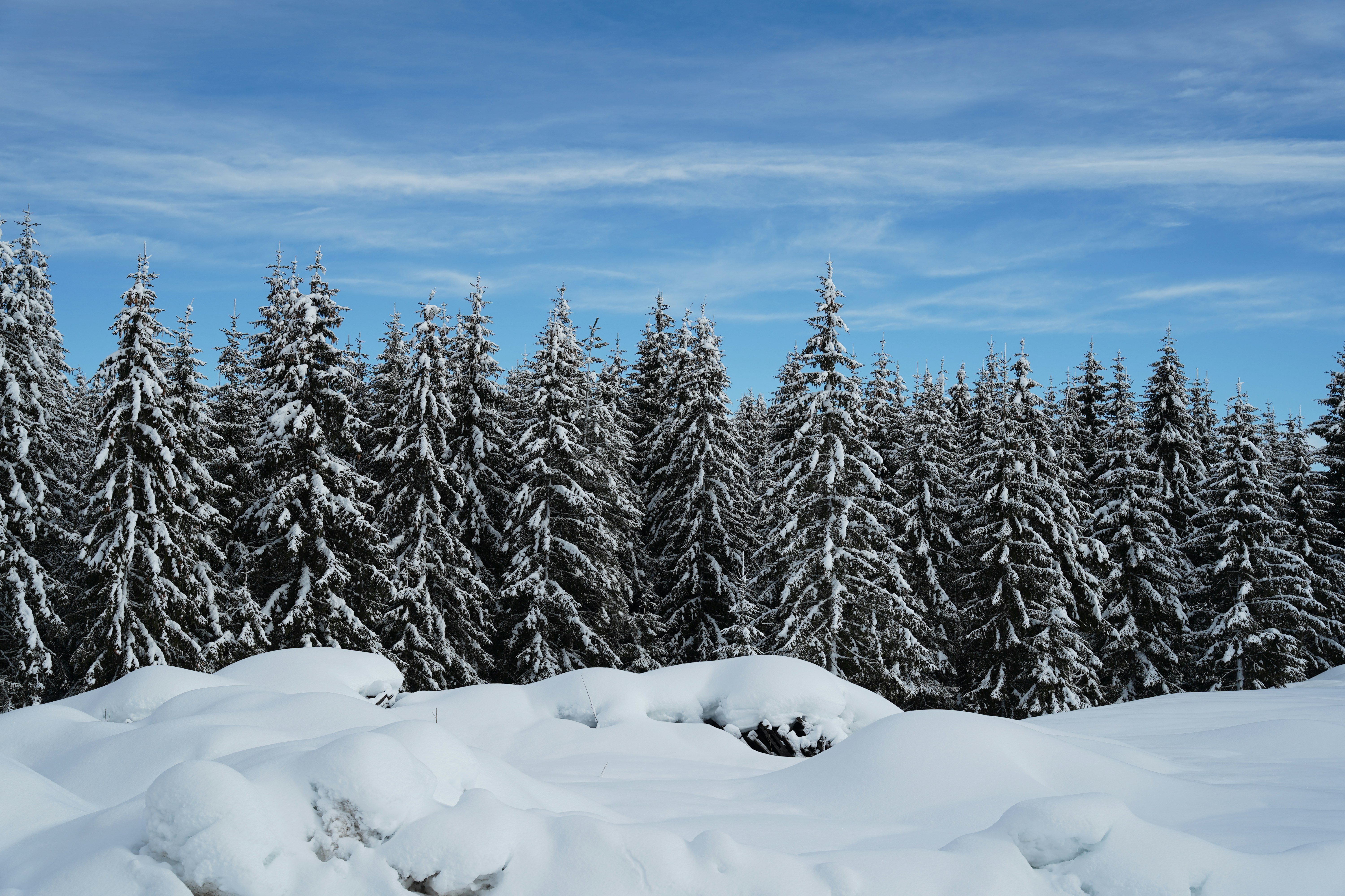 Žabljak travel photo