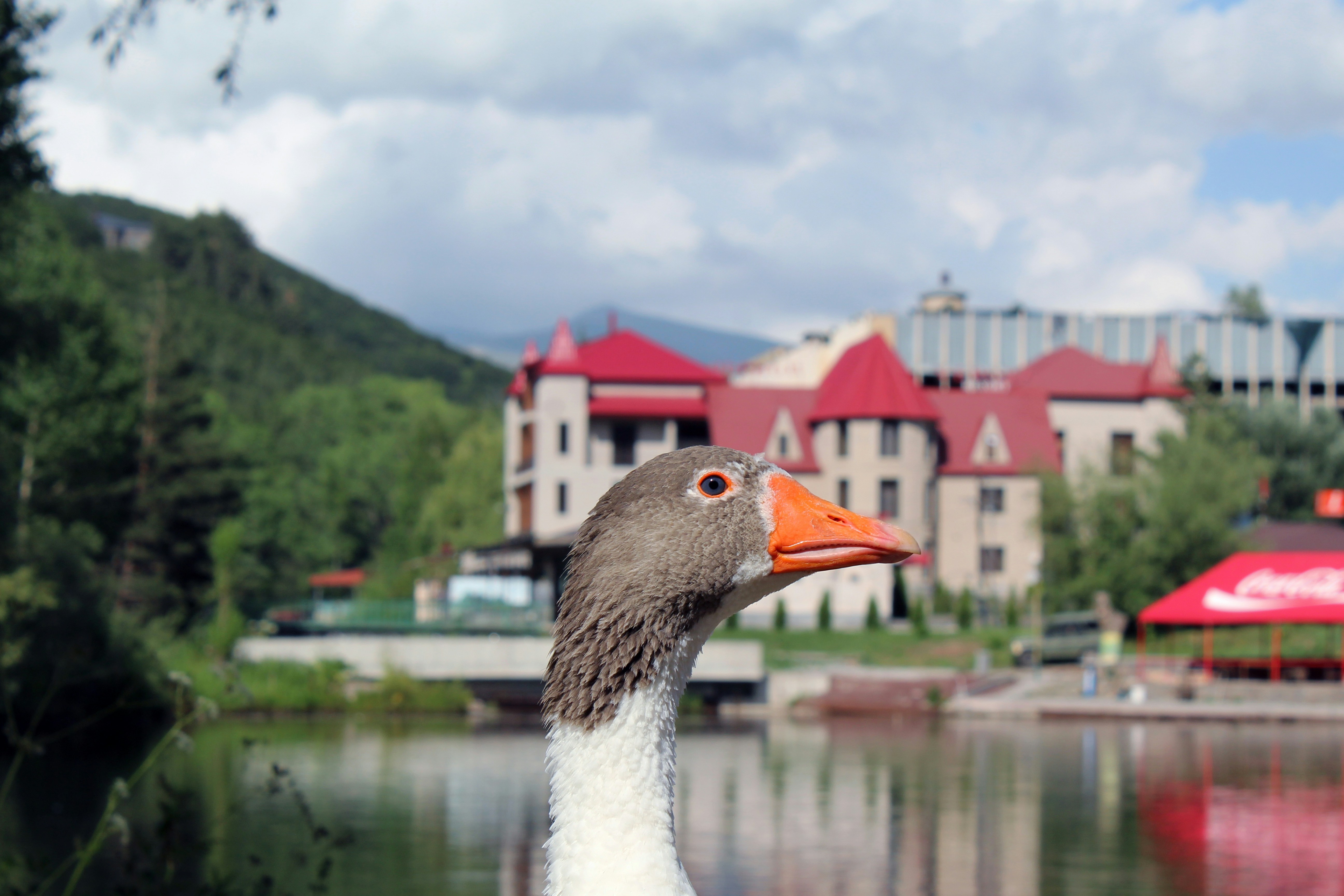 Jermuk, Armenia - None