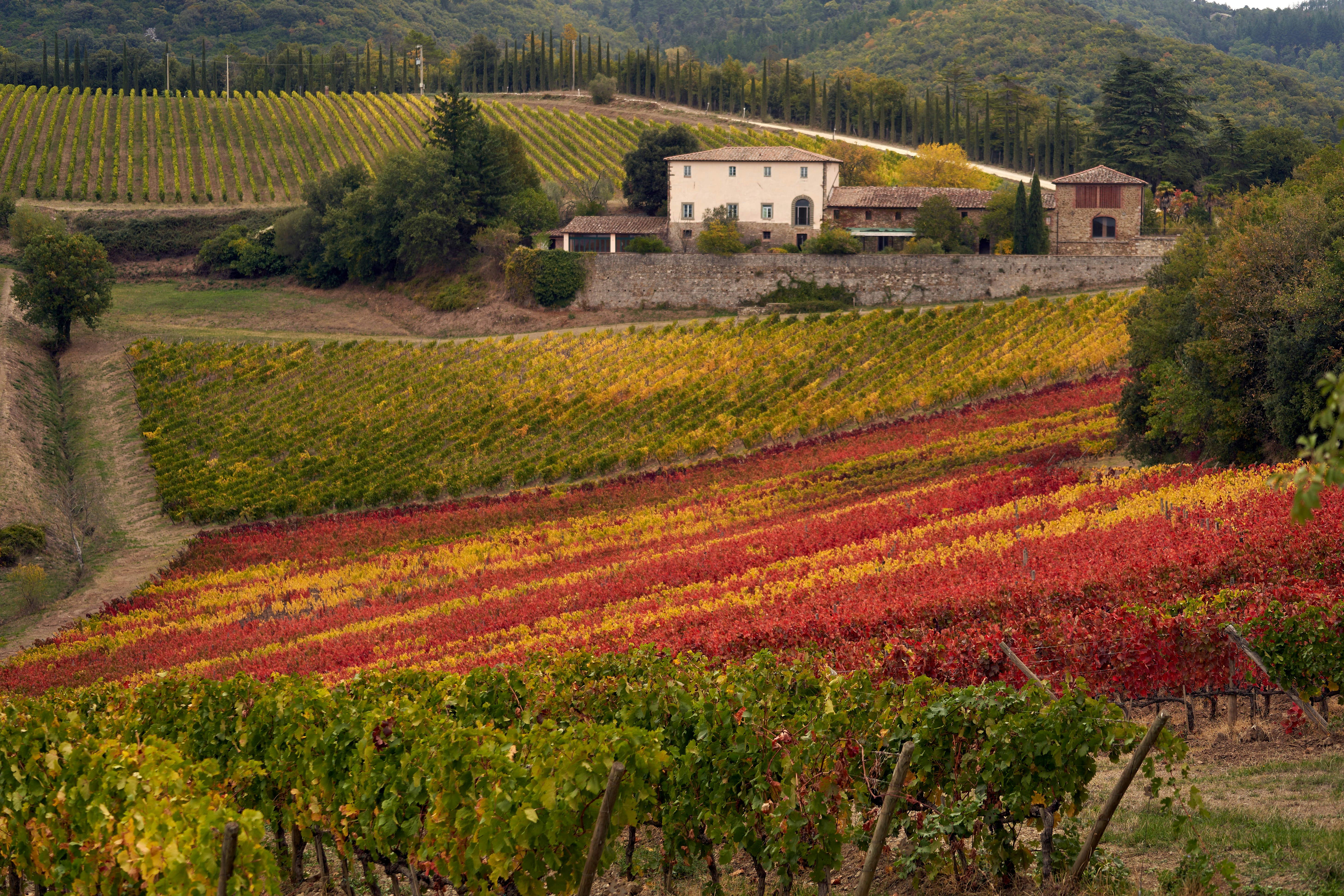 Photo by wolfgang_hasselmann