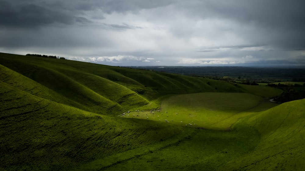 a green hilly landscape