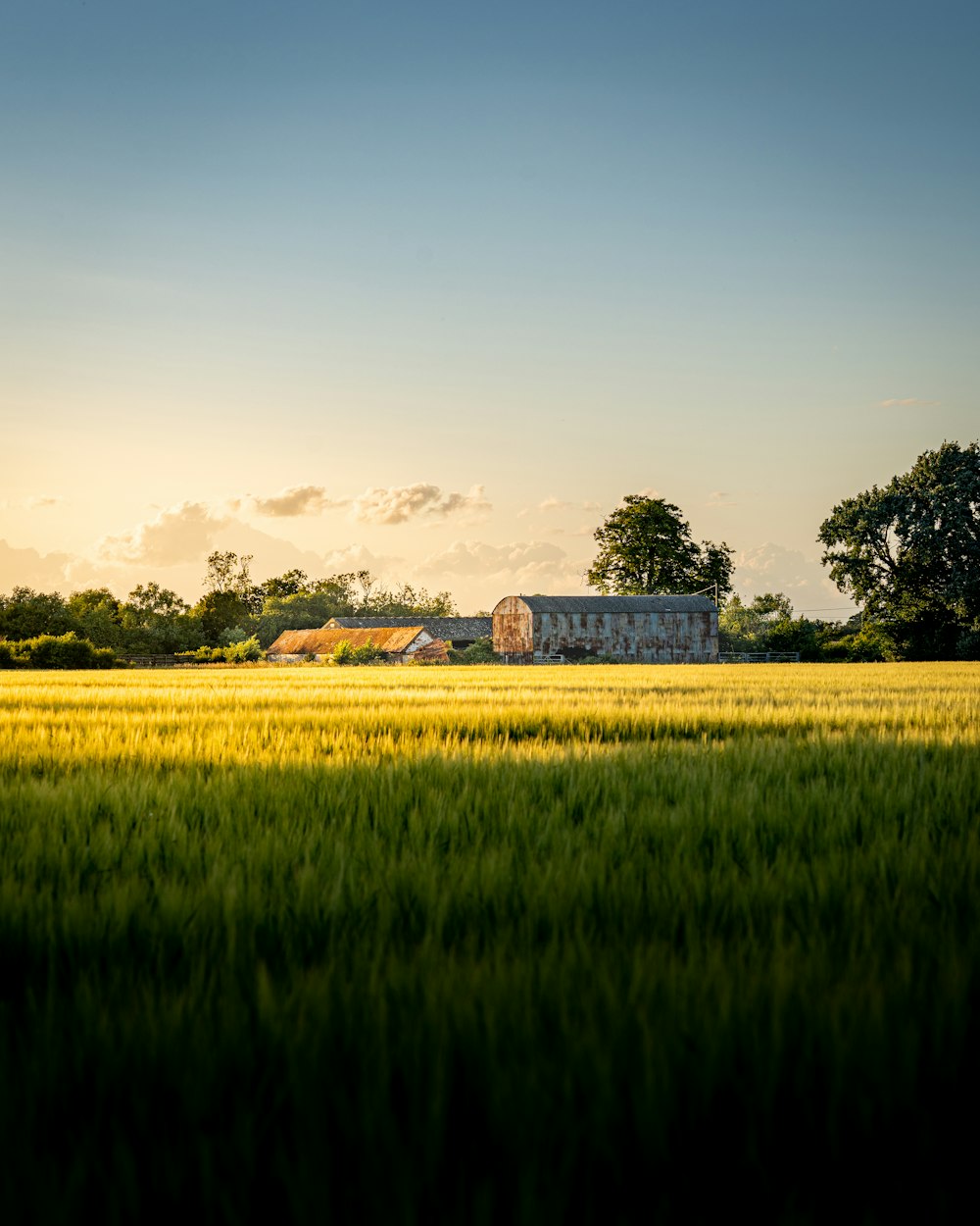 a field of grass with a building in the background