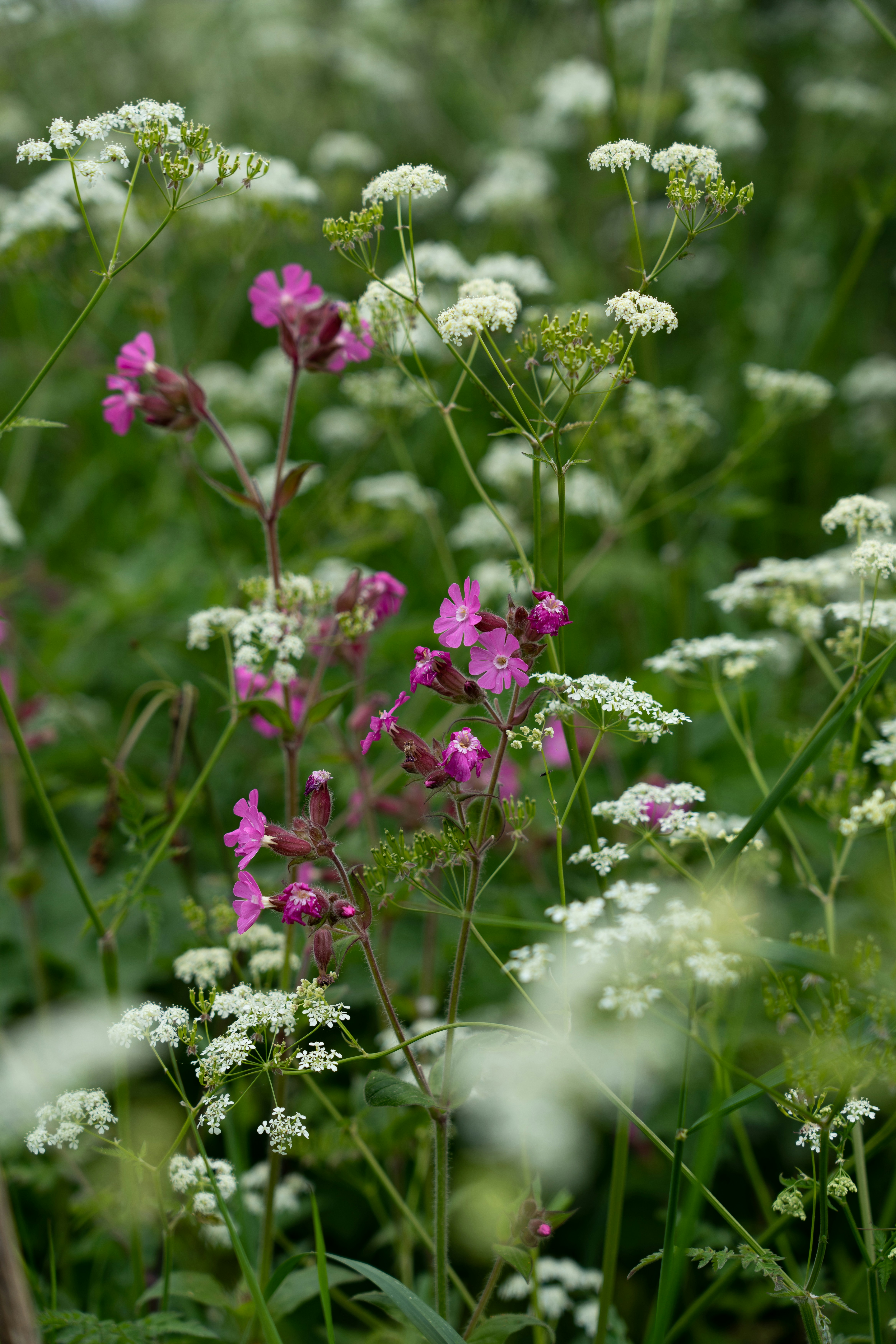 Photo by nathanjfield