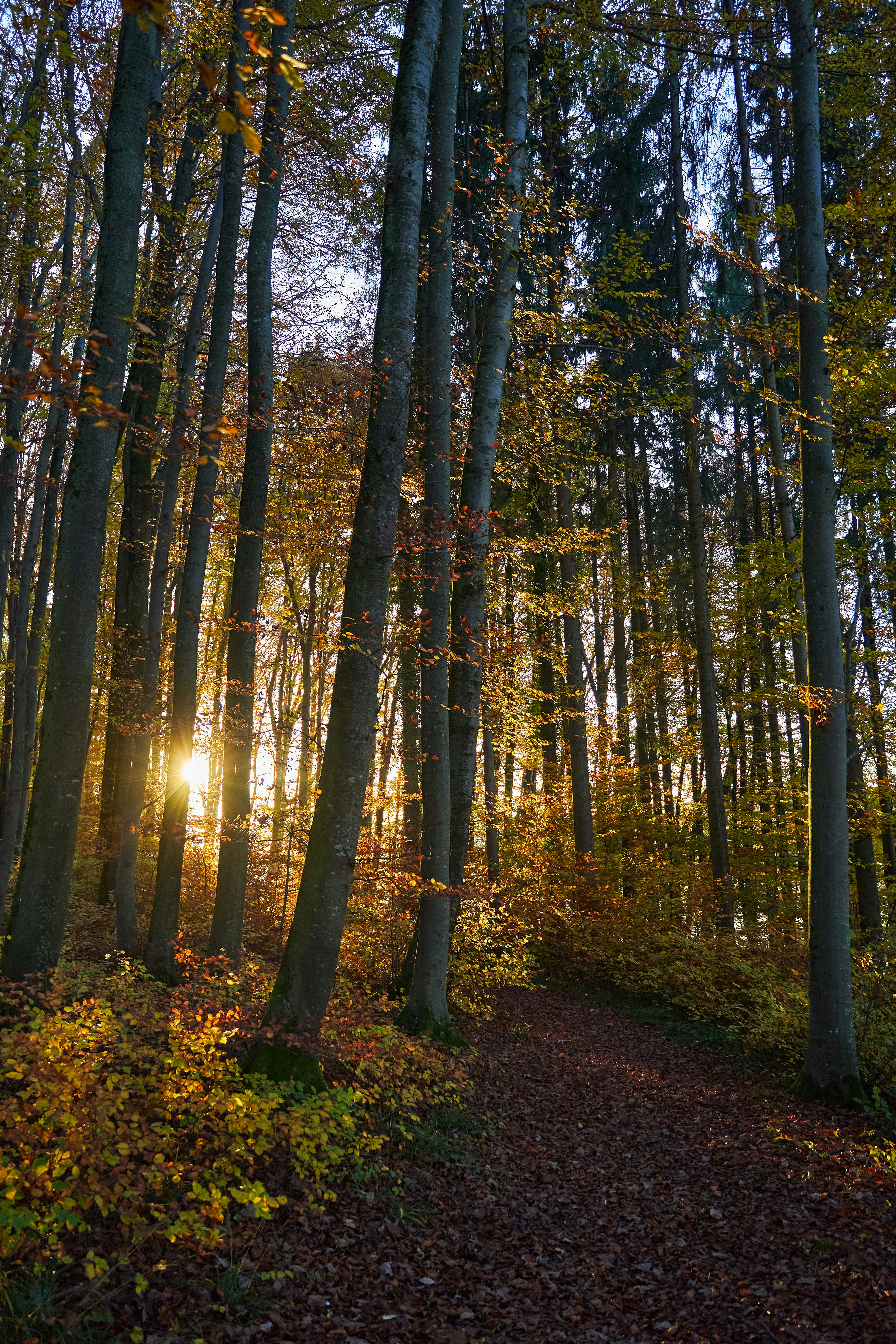 Photo by wolfgang_hasselmann