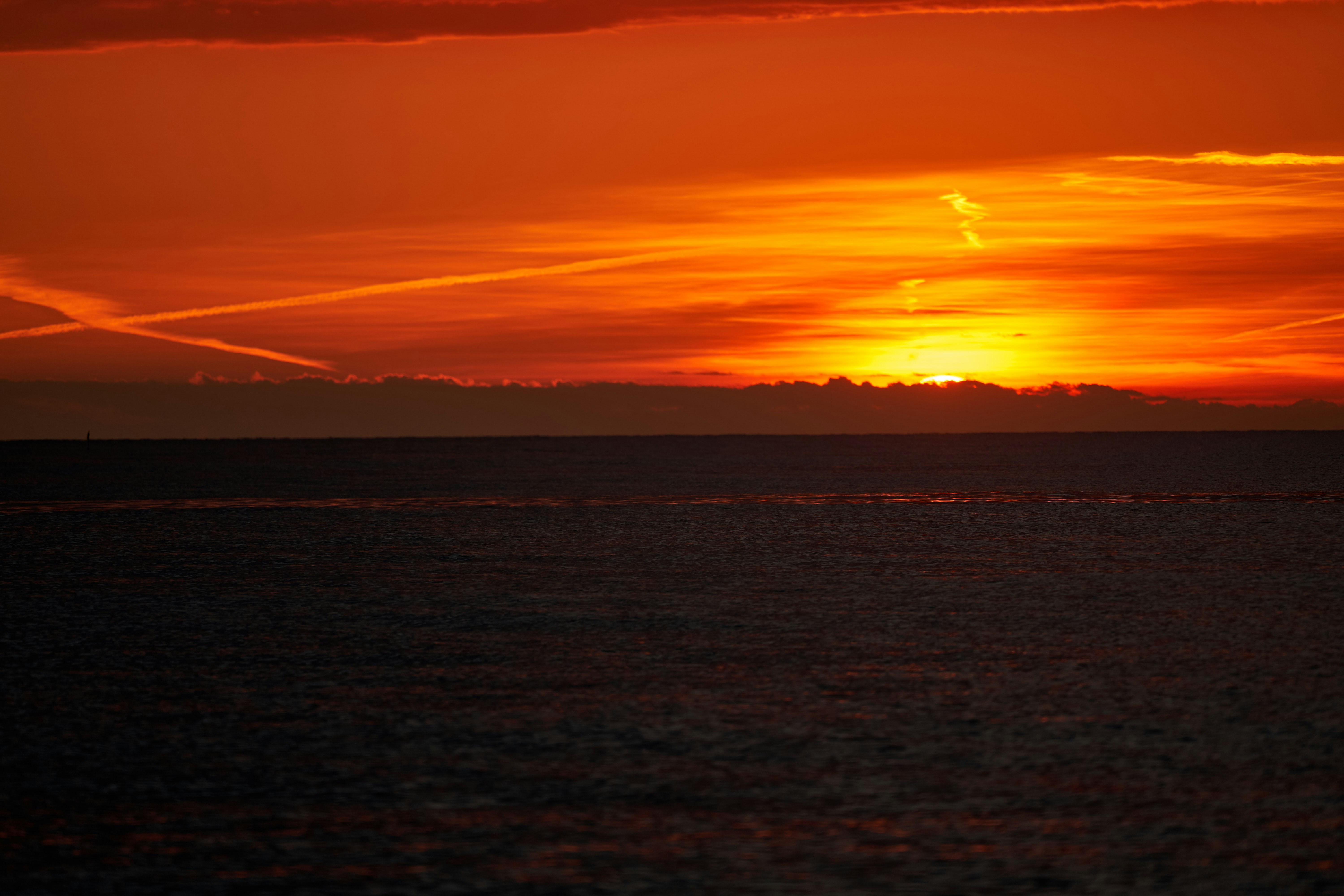 Photo by wolfgang_hasselmann