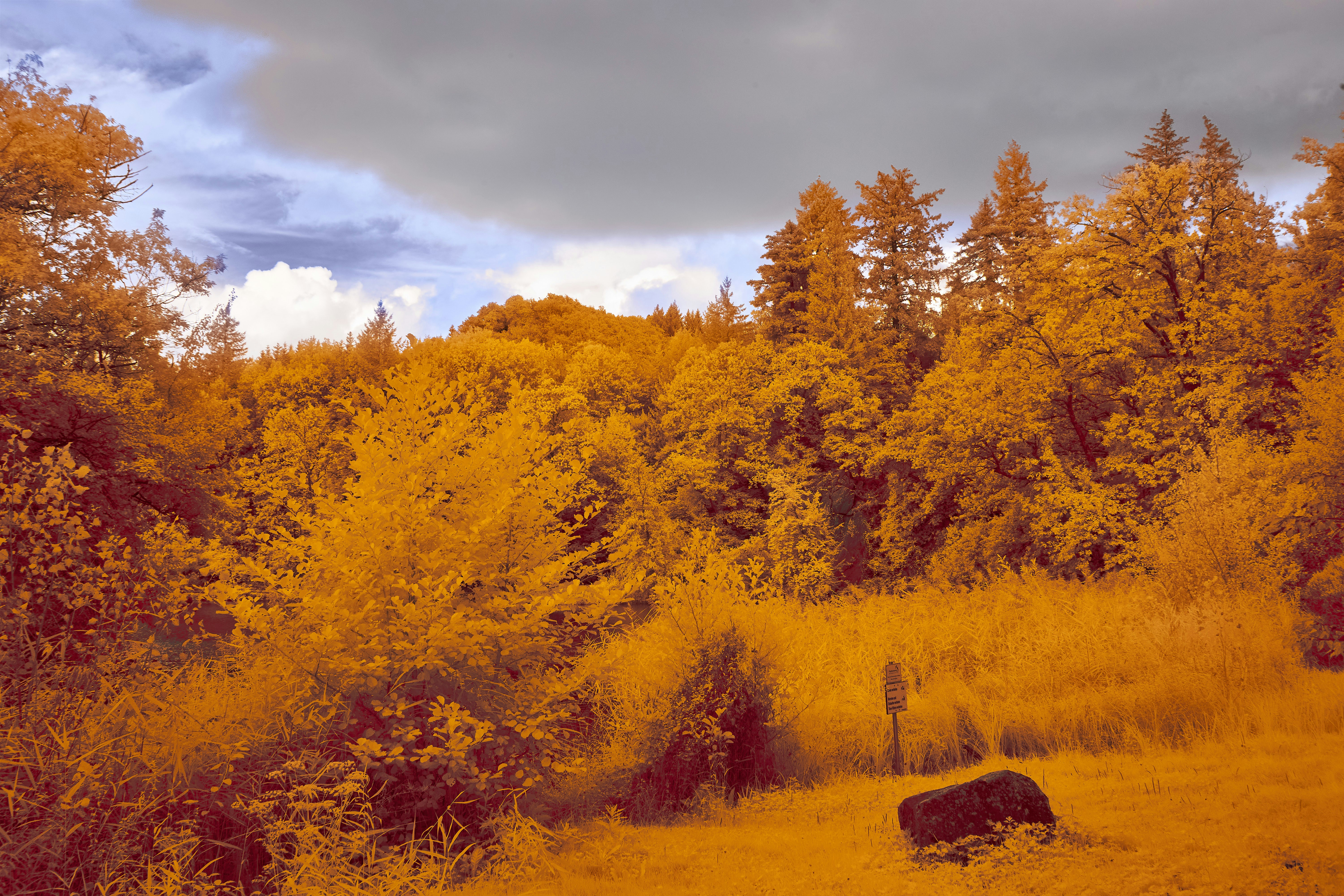 Photo by wolfgang_hasselmann