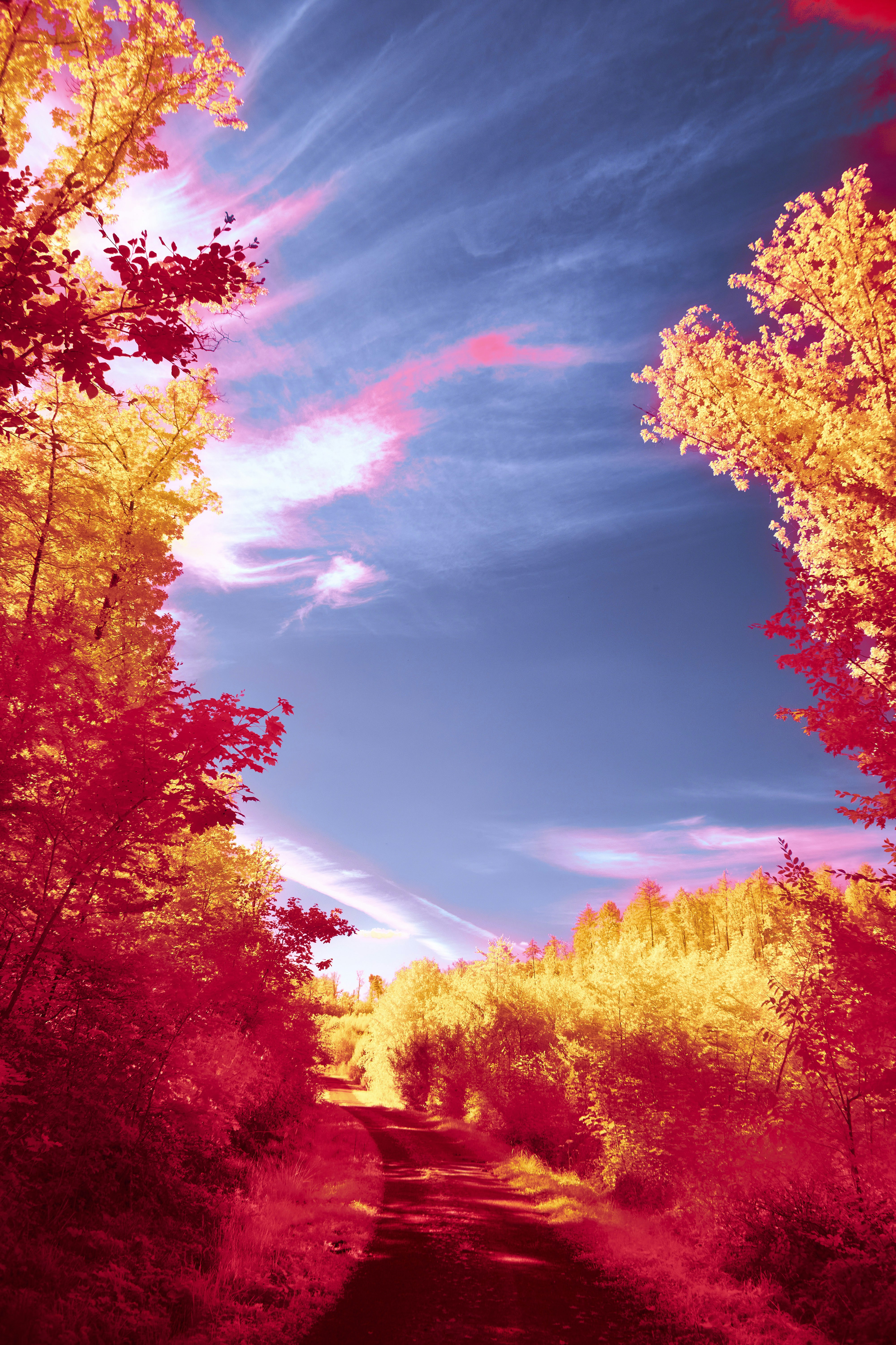 Photo by wolfgang_hasselmann