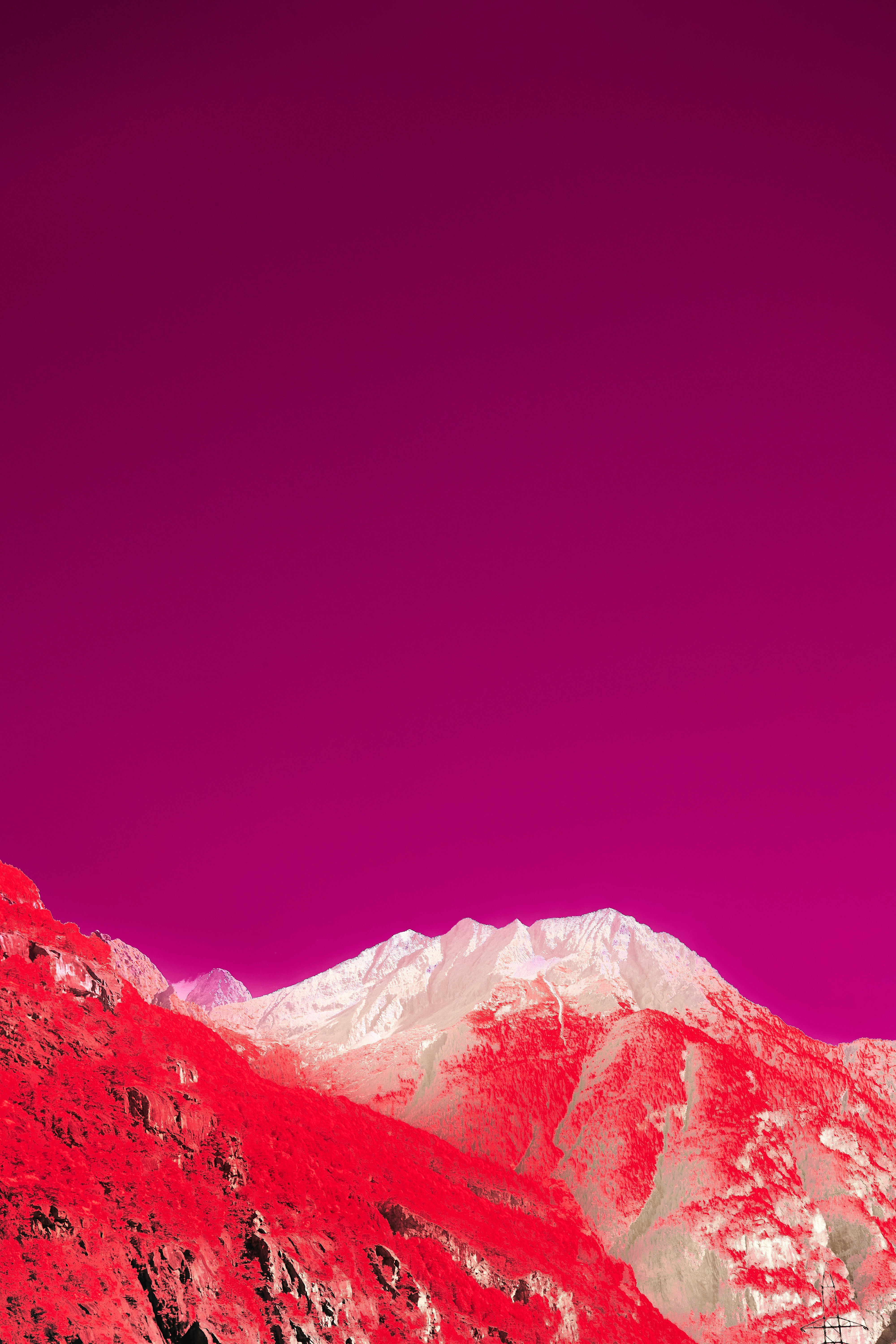 Photo by wolfgang_hasselmann