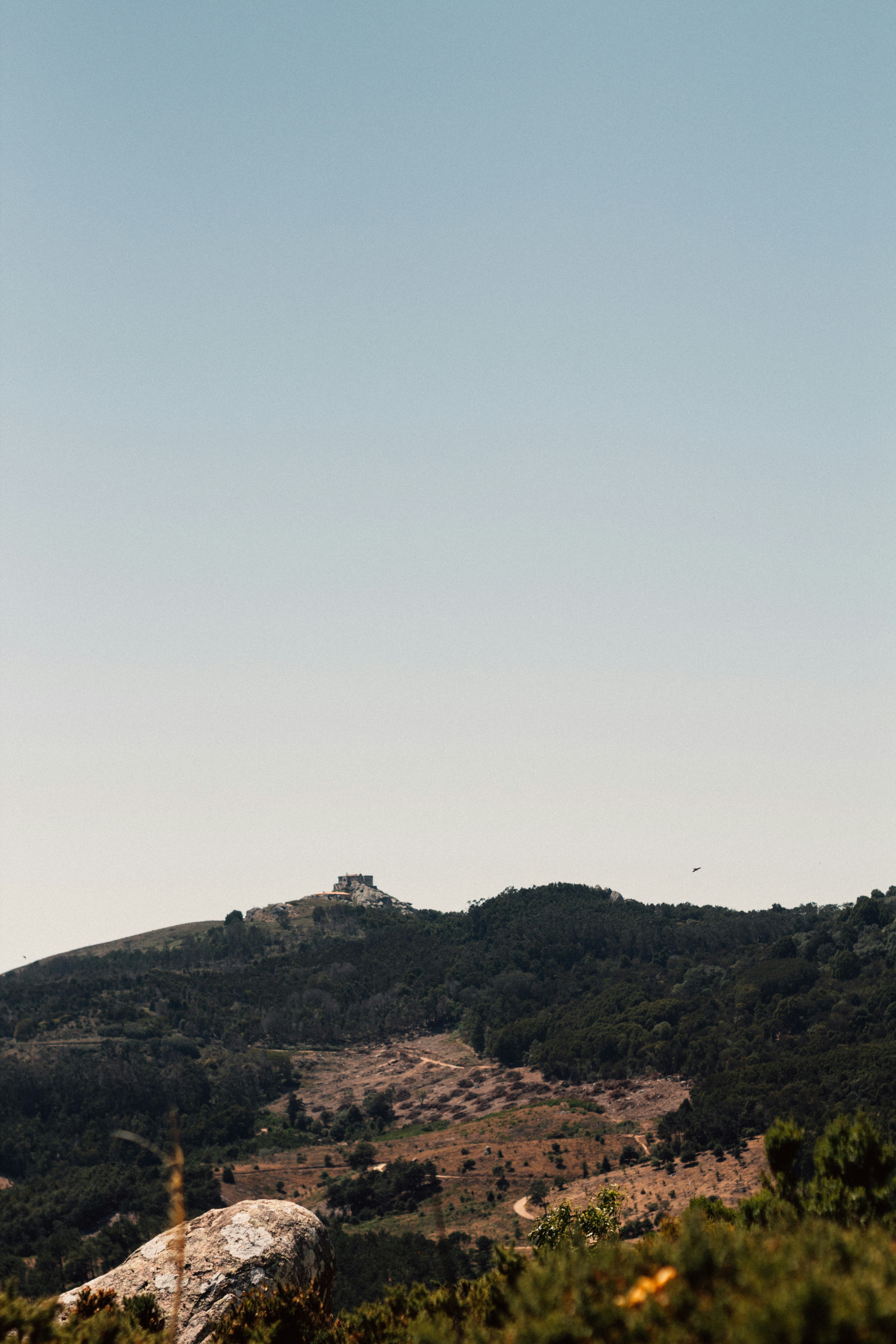 Photo by snapshot_journey