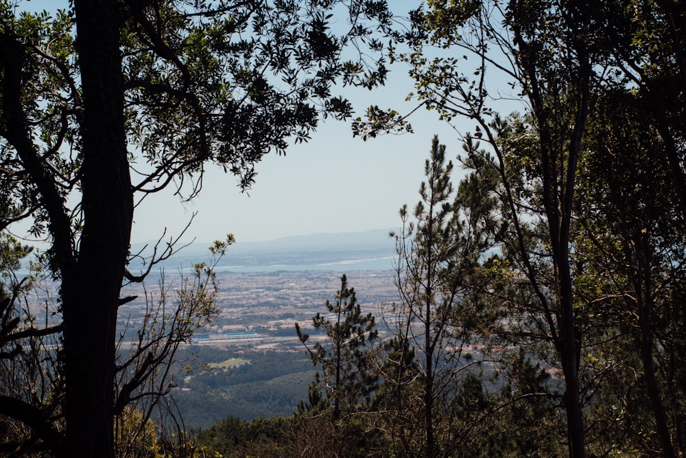 a view of a city from a hill