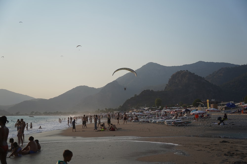 people on the beach flying kites