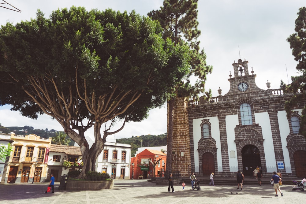 a large tree in front of a building