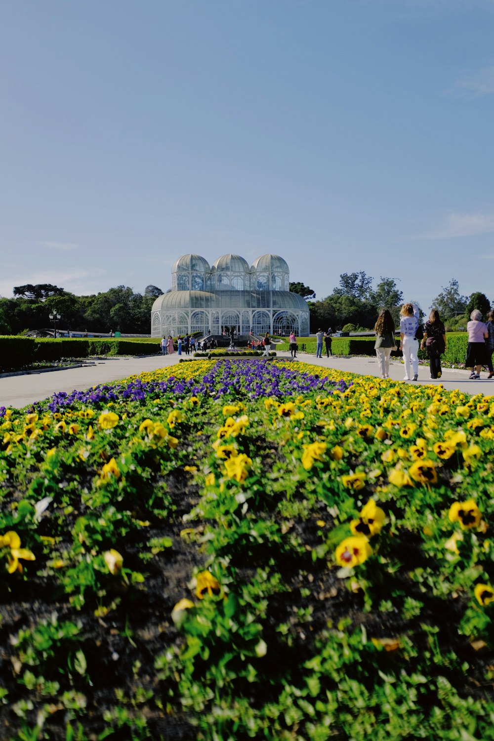 a group of people walking around a garden