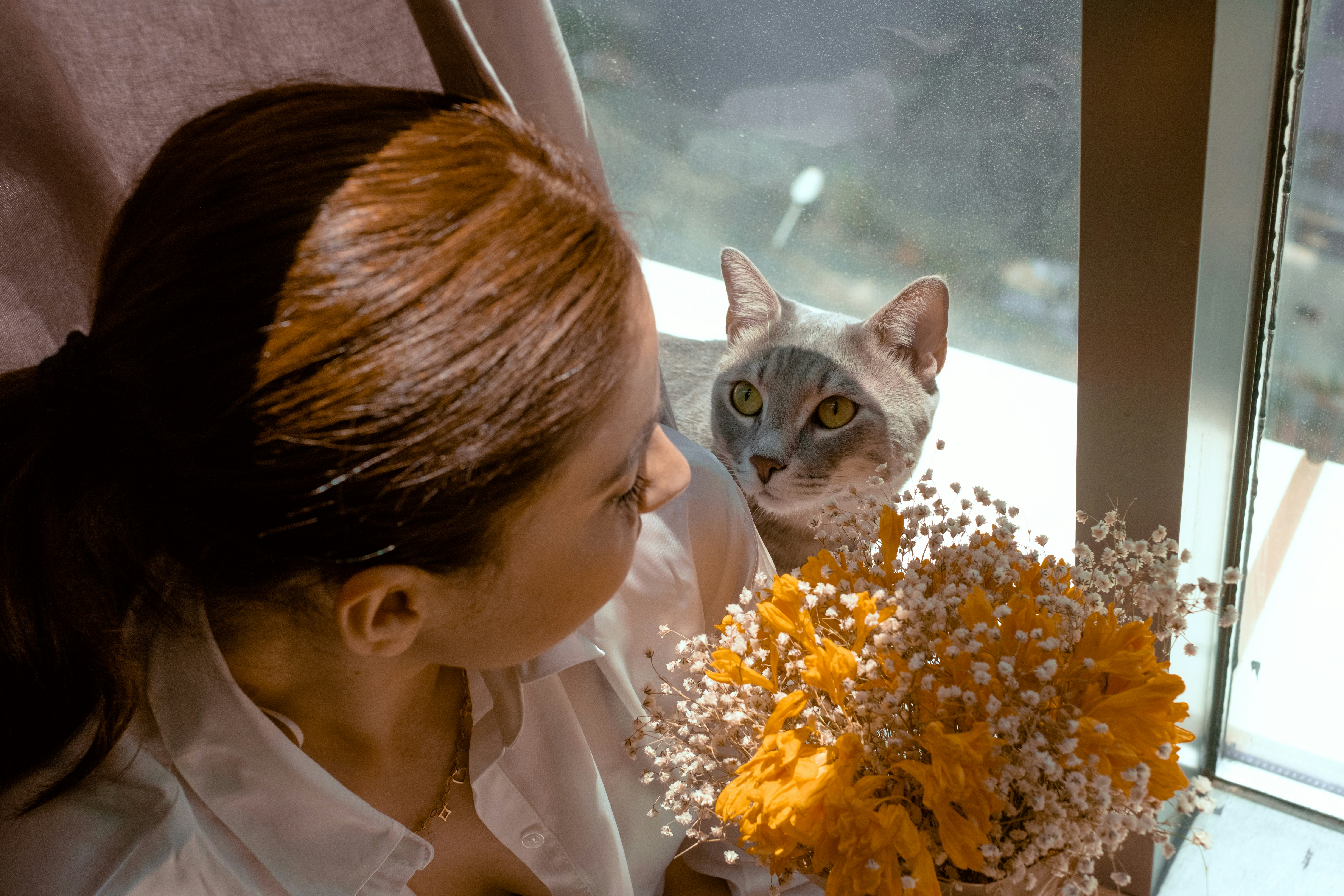 The Role of Scent in Feline Trust (image credits: unsplash)