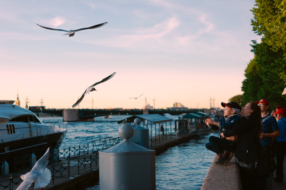 a group of people watching a seagull fly by a pier