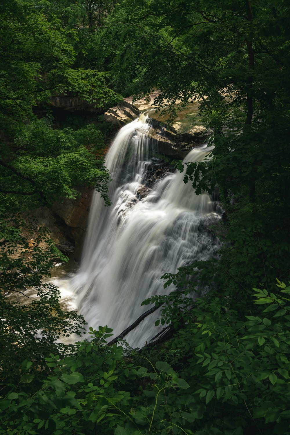 a waterfall in a forest