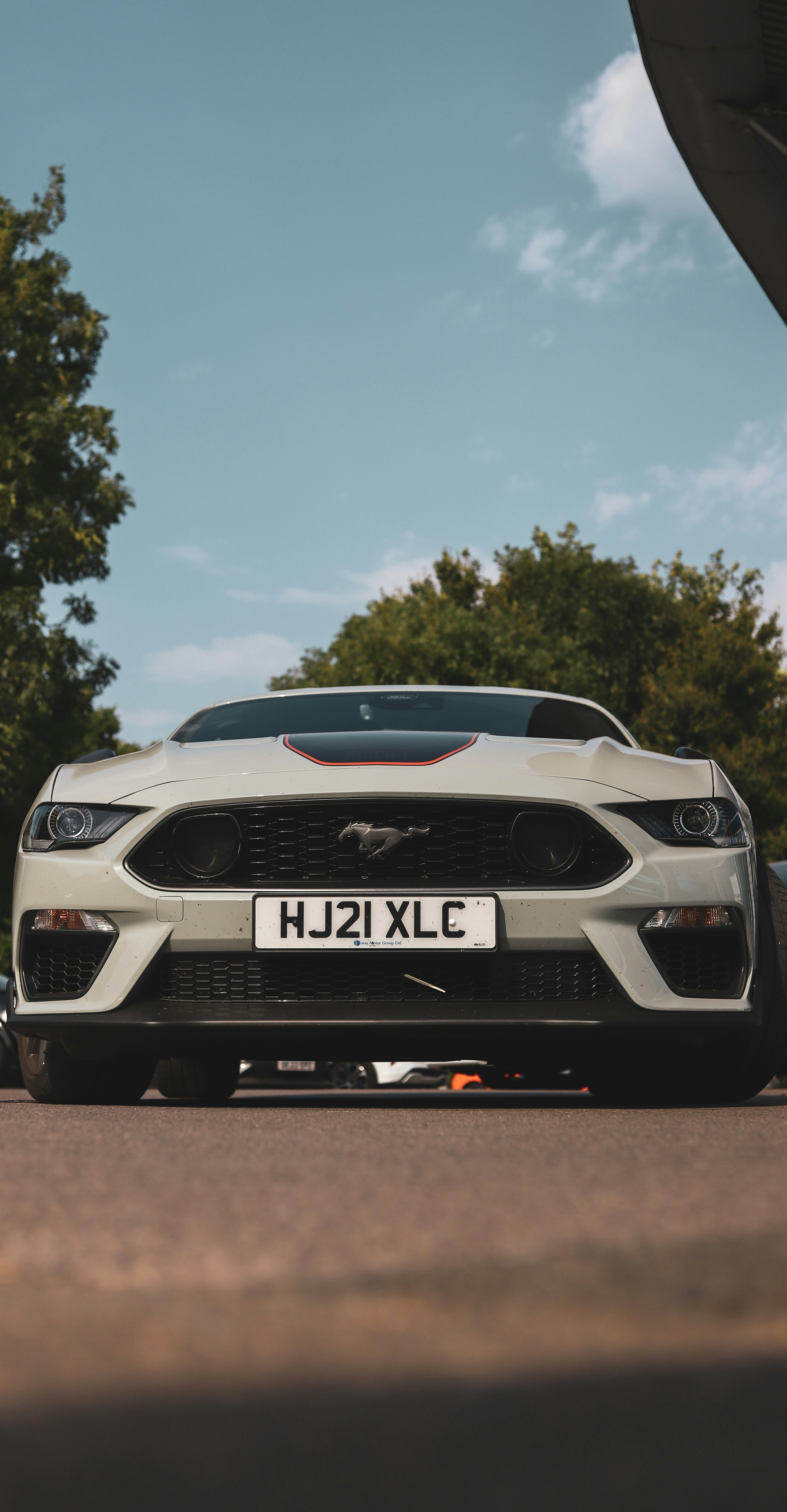 Photo by liam_gamble